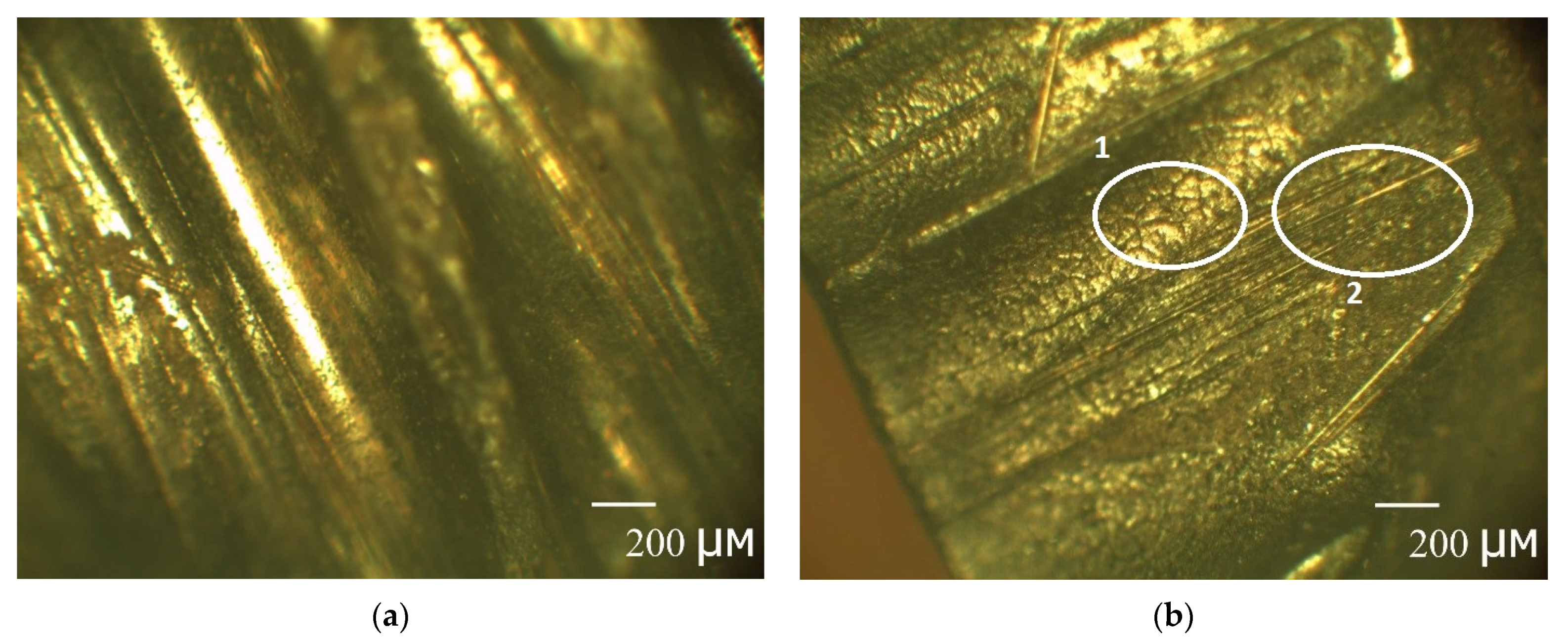 Polymers 13 04325 g009 550