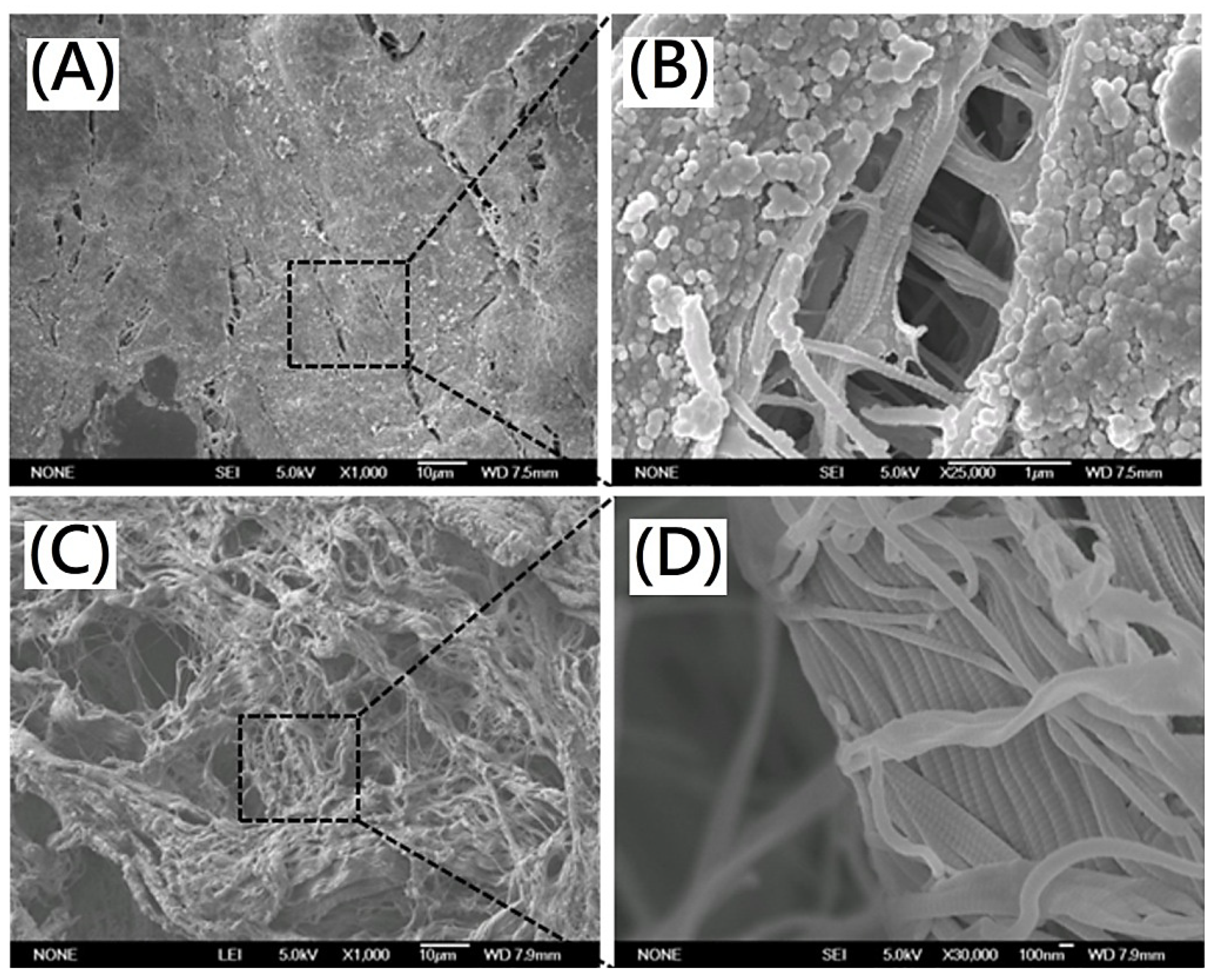 Polymers 13 04326 g001
