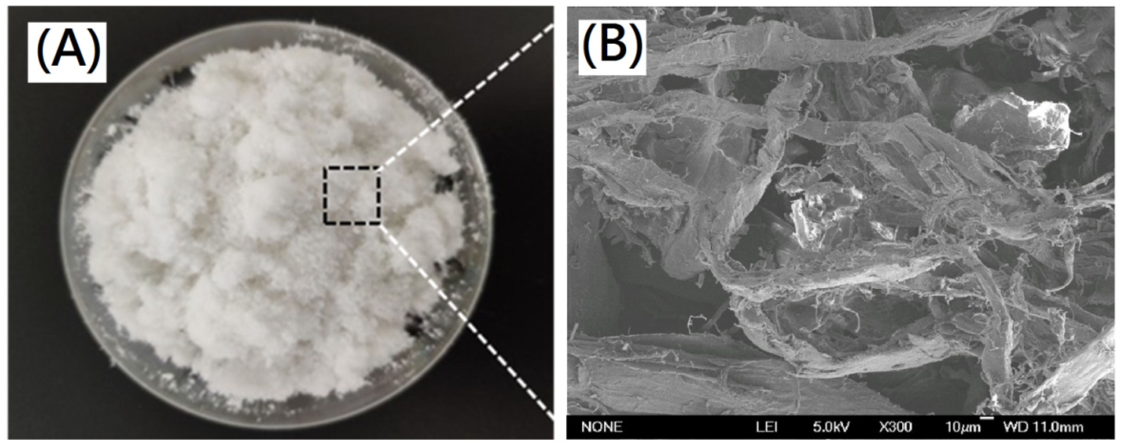 Polymers 13 04326 g008
