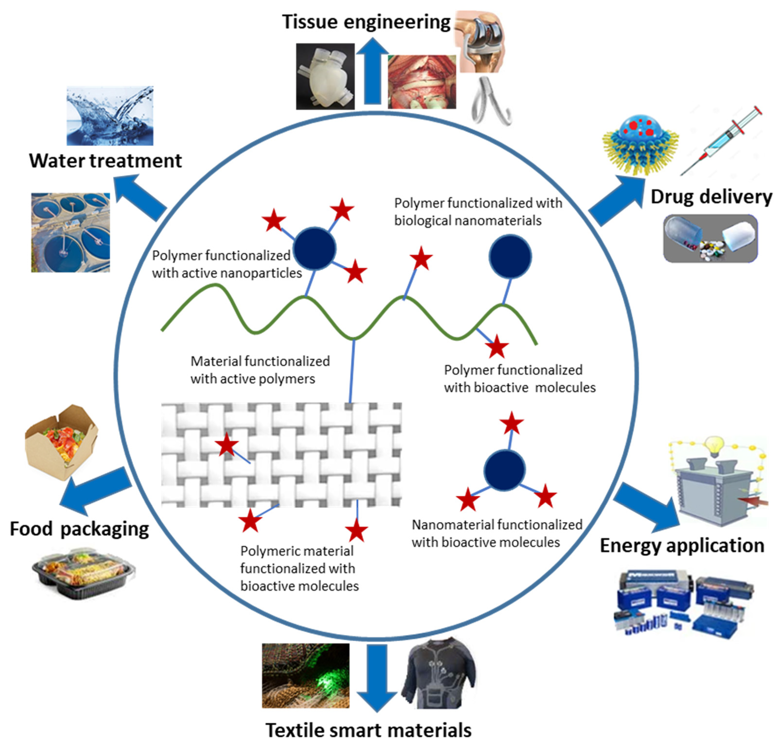 Mobility of Water and Polymer Species and Rheological Properties