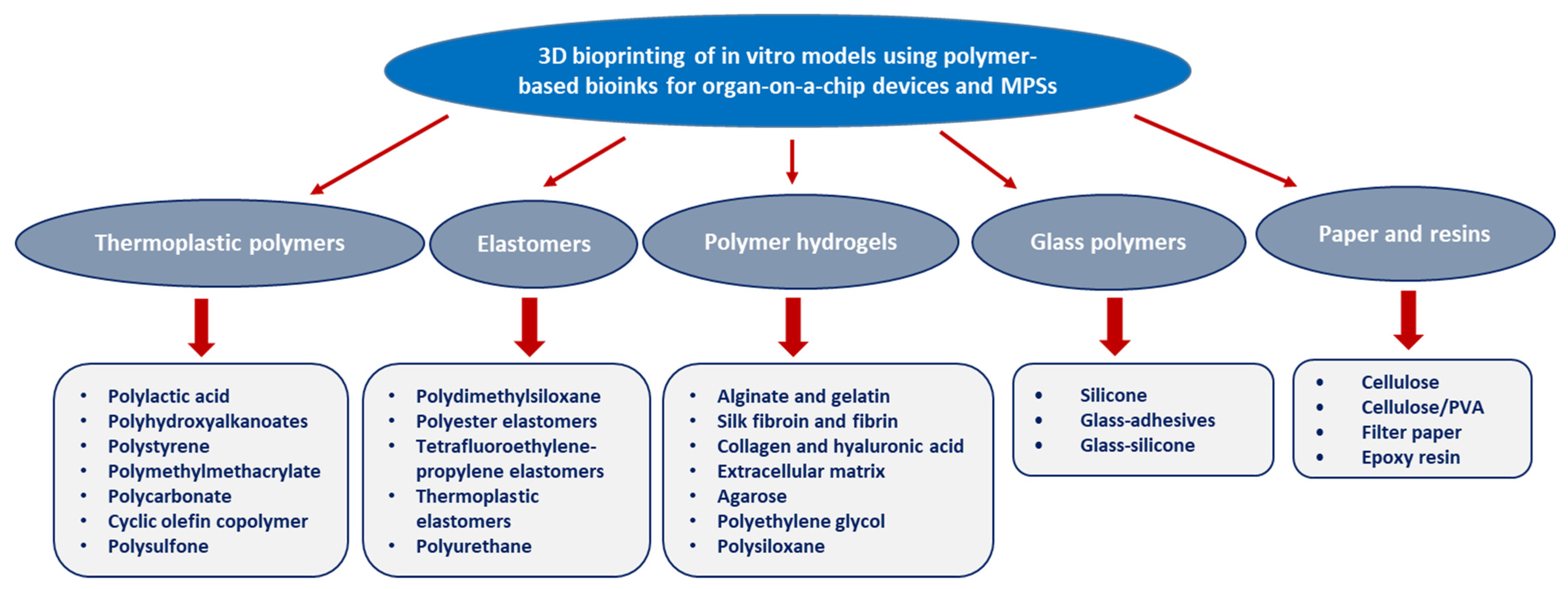 Polymers 13 04327 g003
