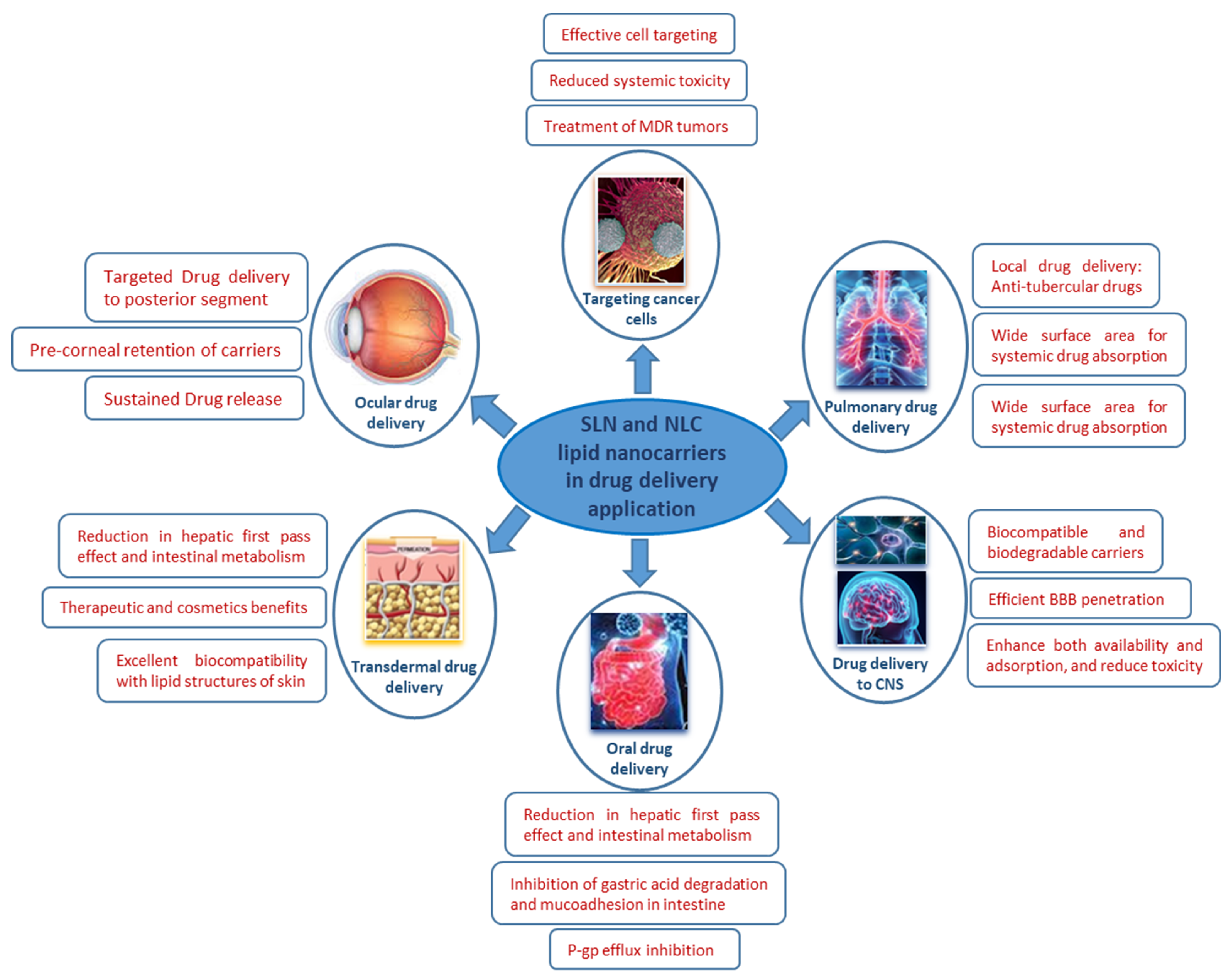 Polymers 13 04327 g005