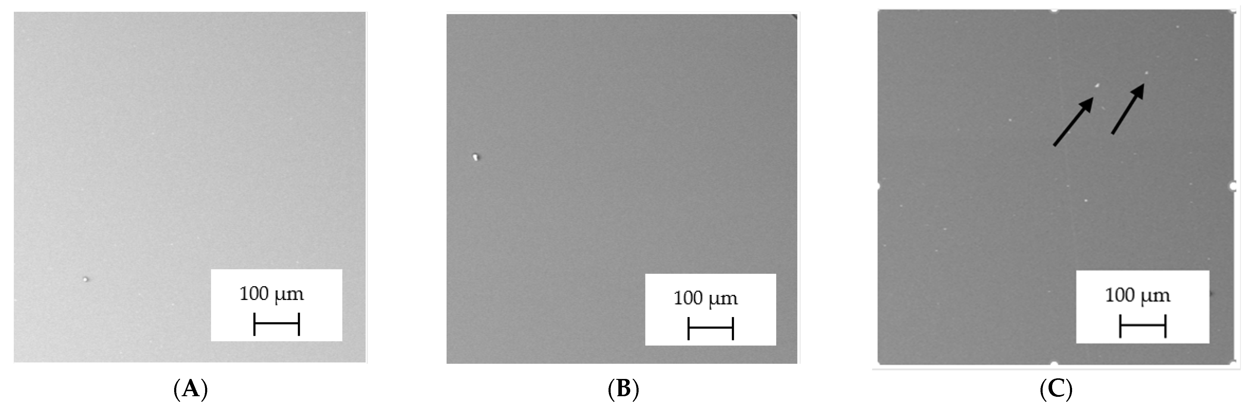Polymers 13 04337 g001a