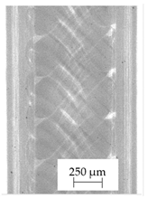Polymers 13 04337 i004