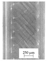 Polymers 13 04337 i010