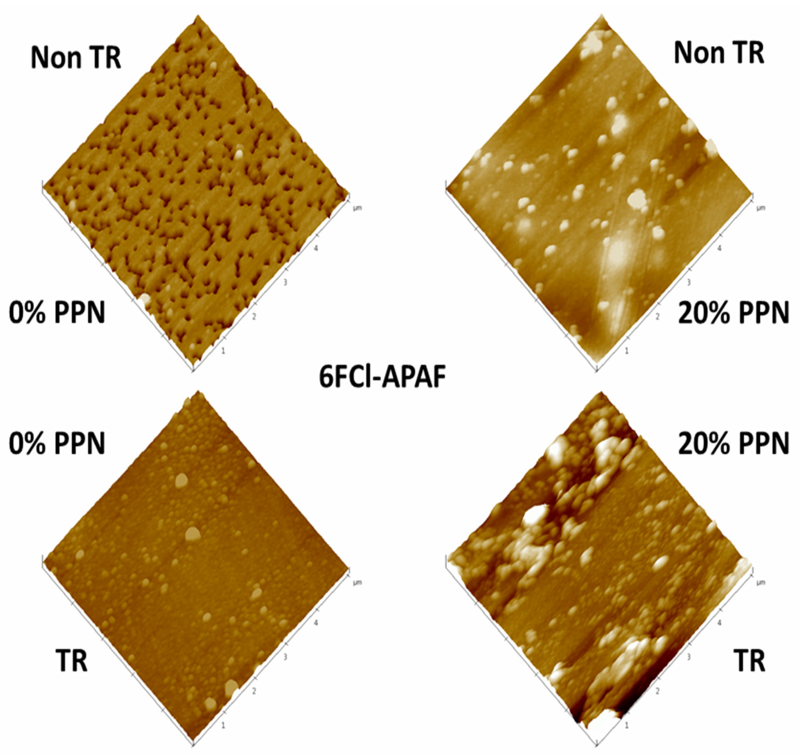 Polymers 13 04343 g004