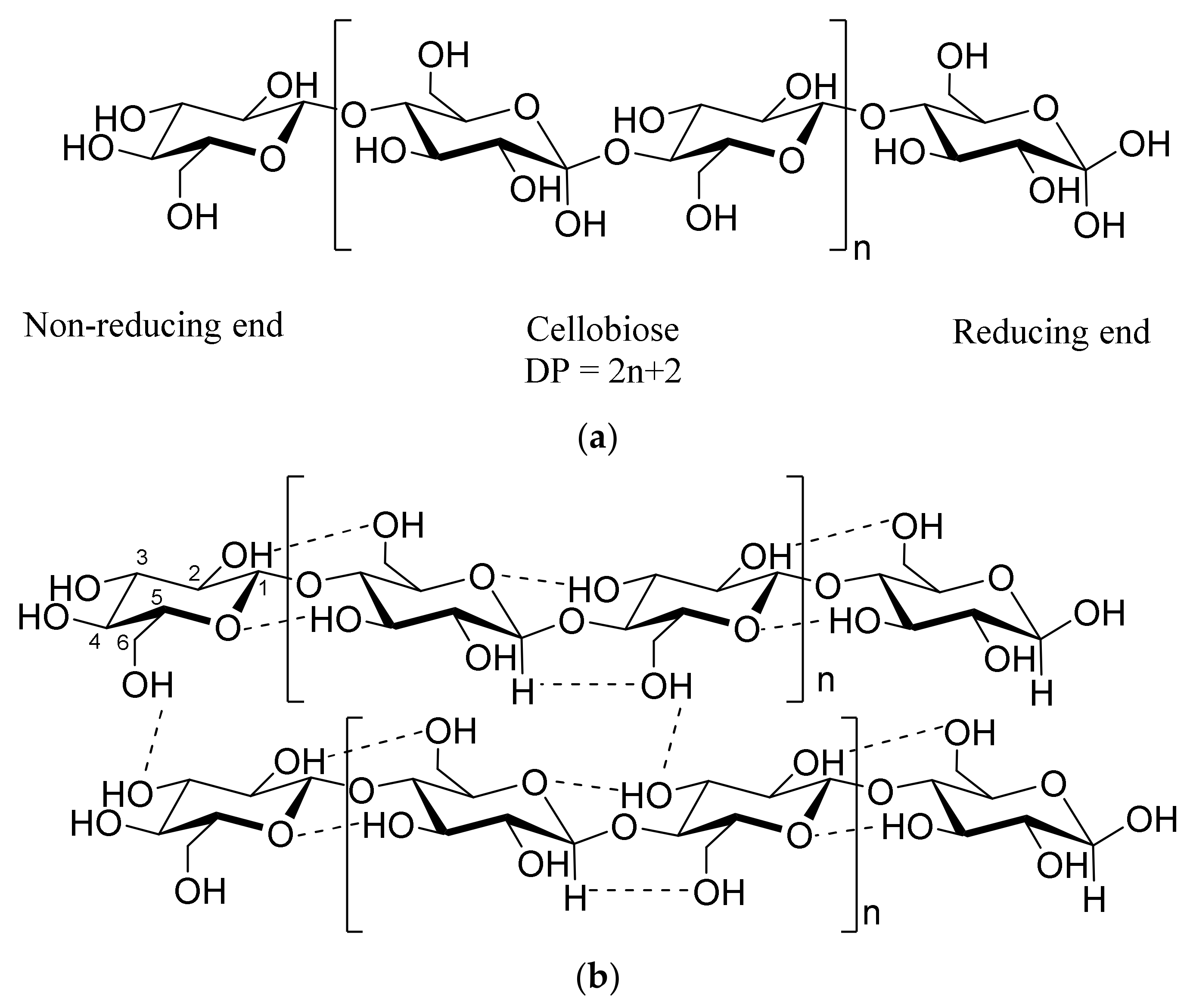 Polymers 13 04344 g001 Polymers 13 04344 g001