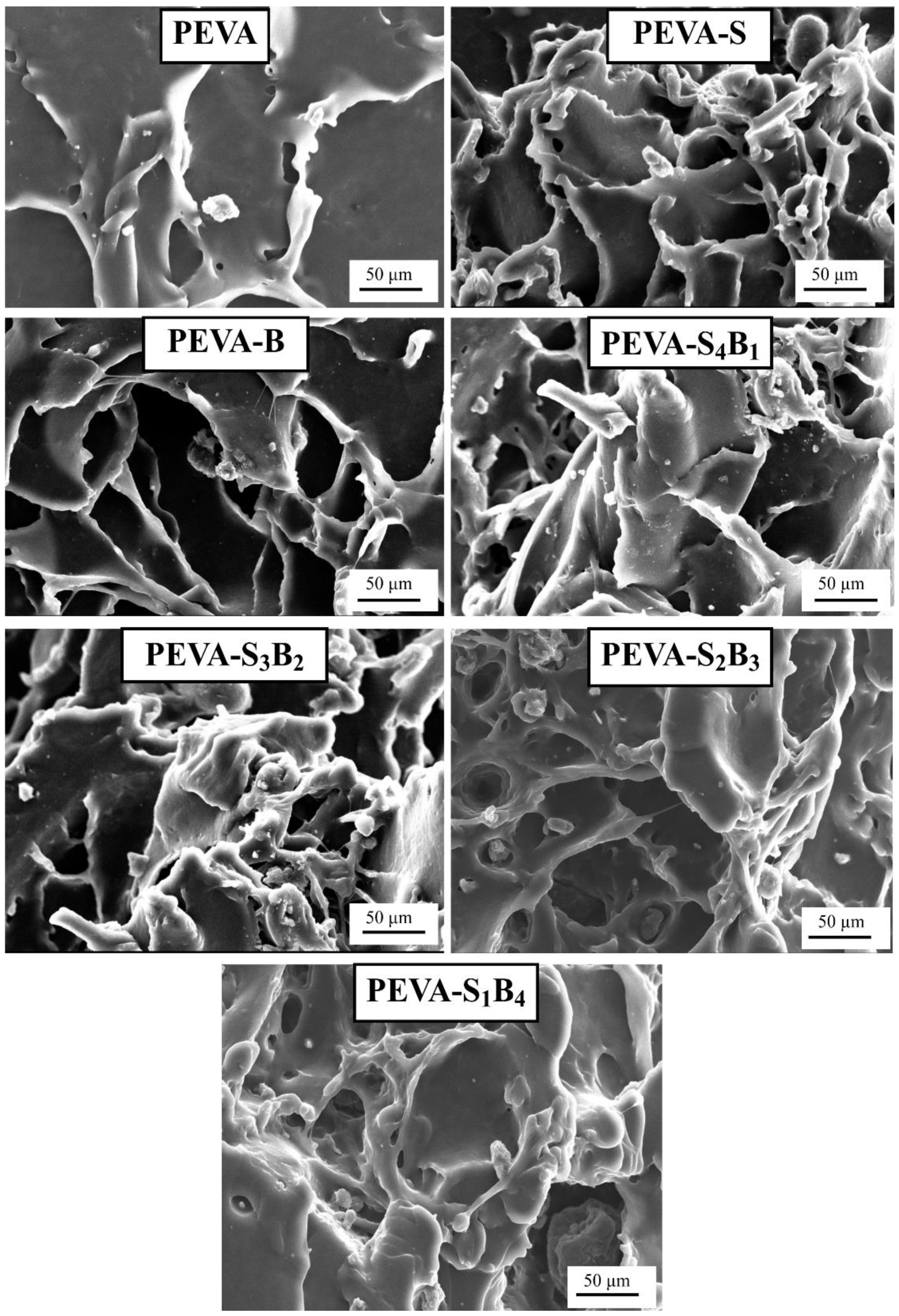 Polymers 13 04345 g007 550