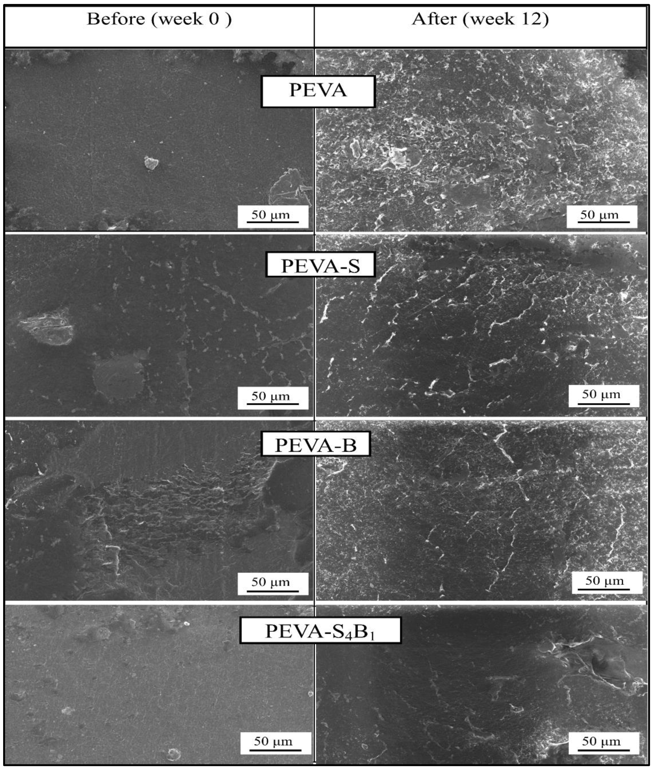 Polymers 13 04345 g009 550