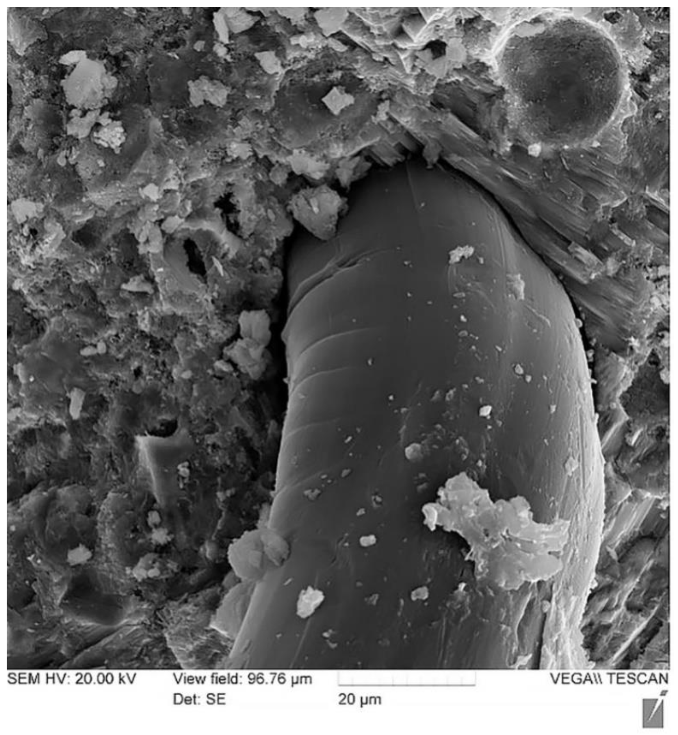 Polymers 13 04347 g012 550