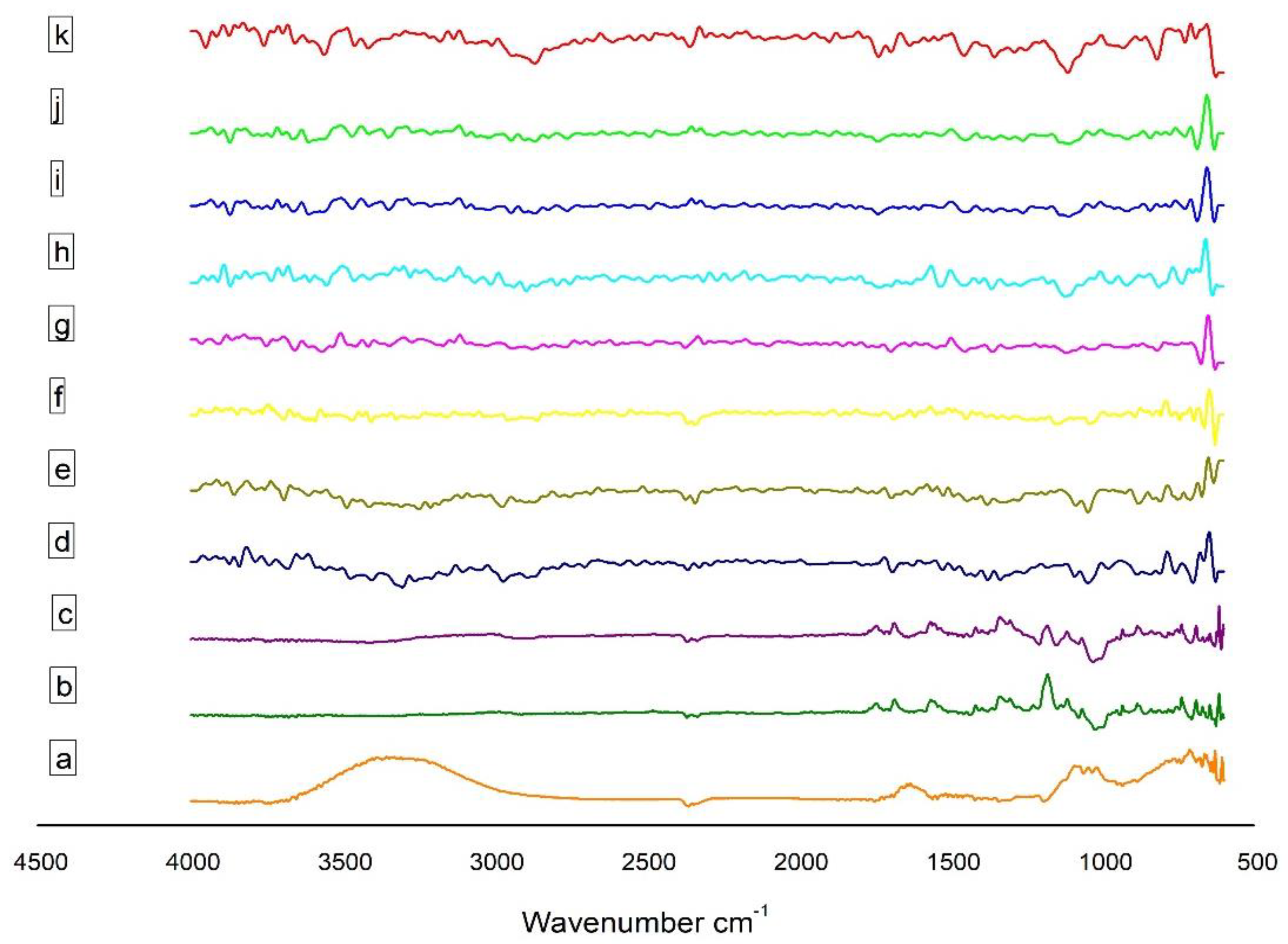 Polymers 13 04350 g001