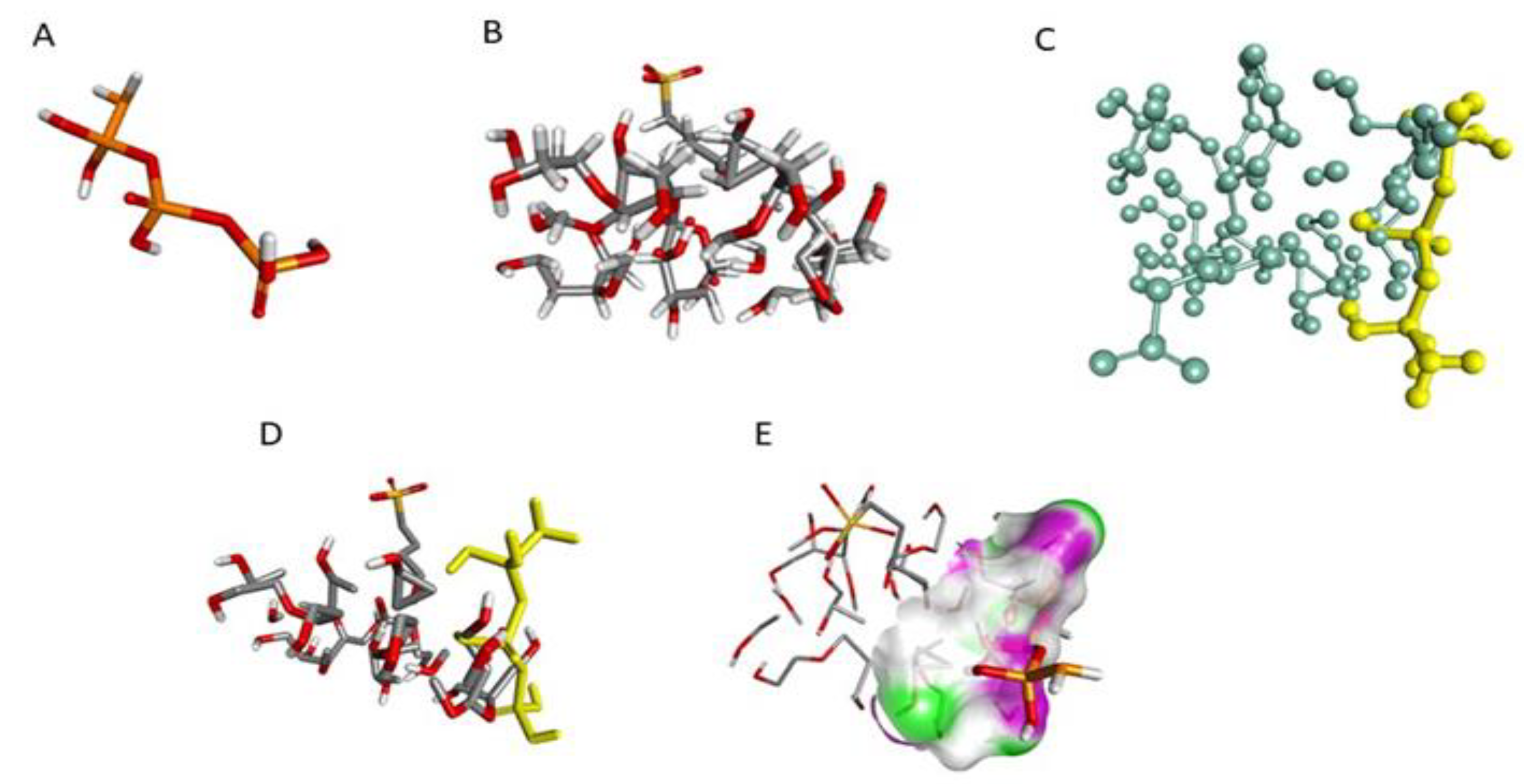 Polymers 13 04350 g004