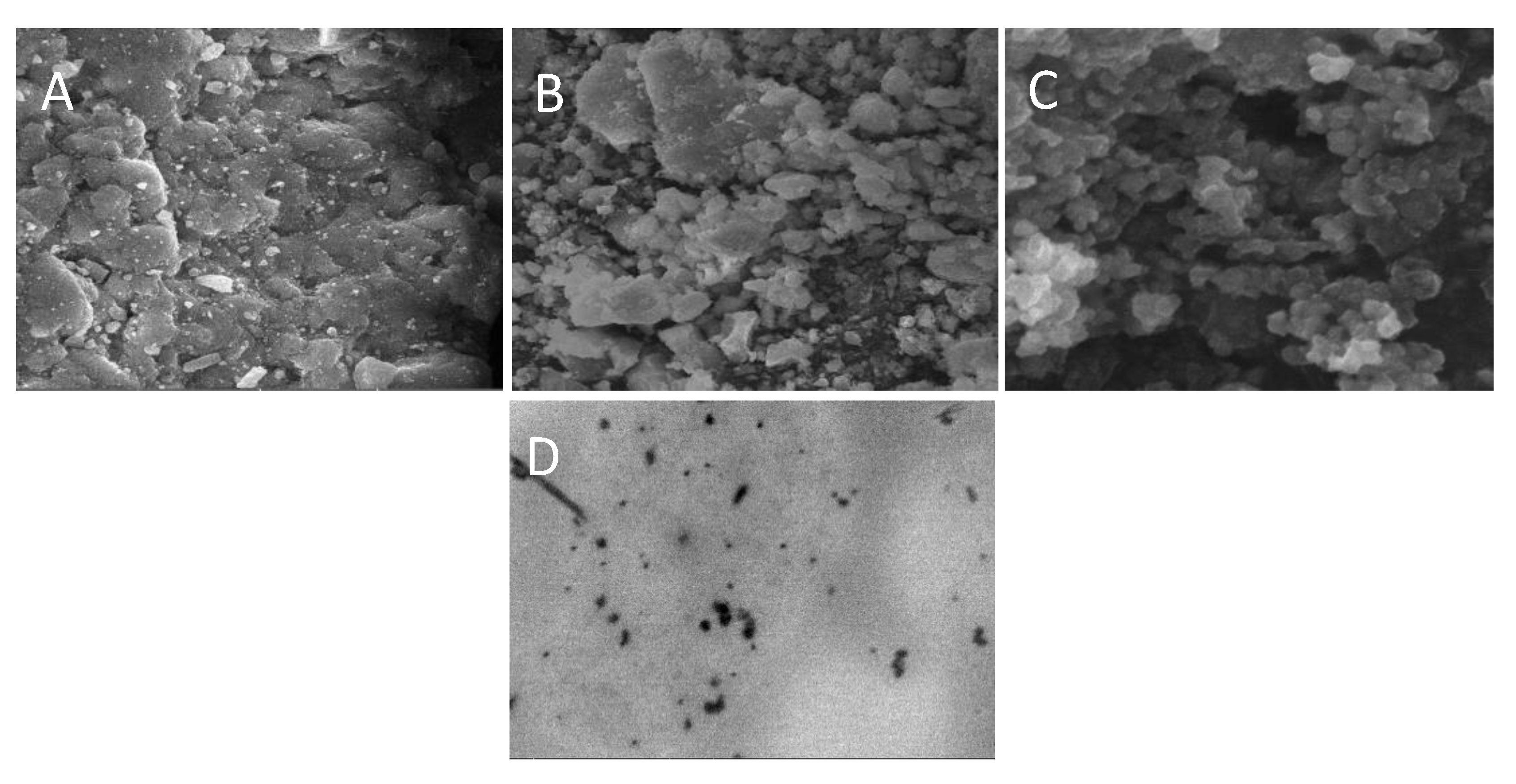 Polymers 13 04350 g006
