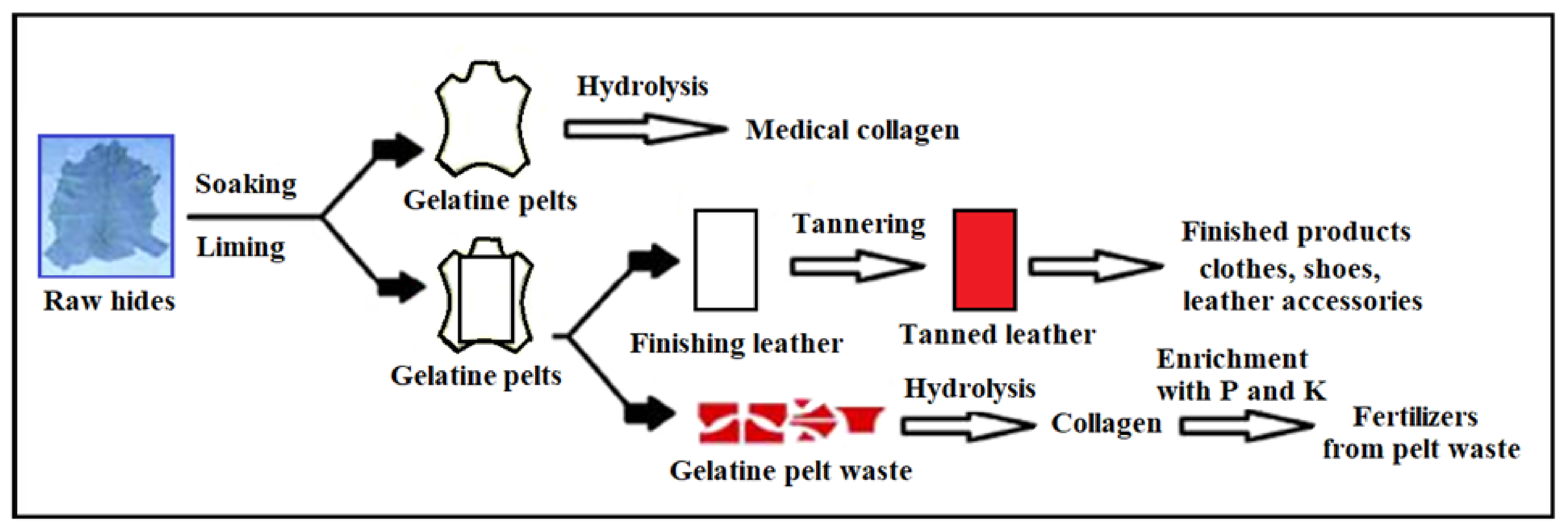 Polymers 13 04351 g004