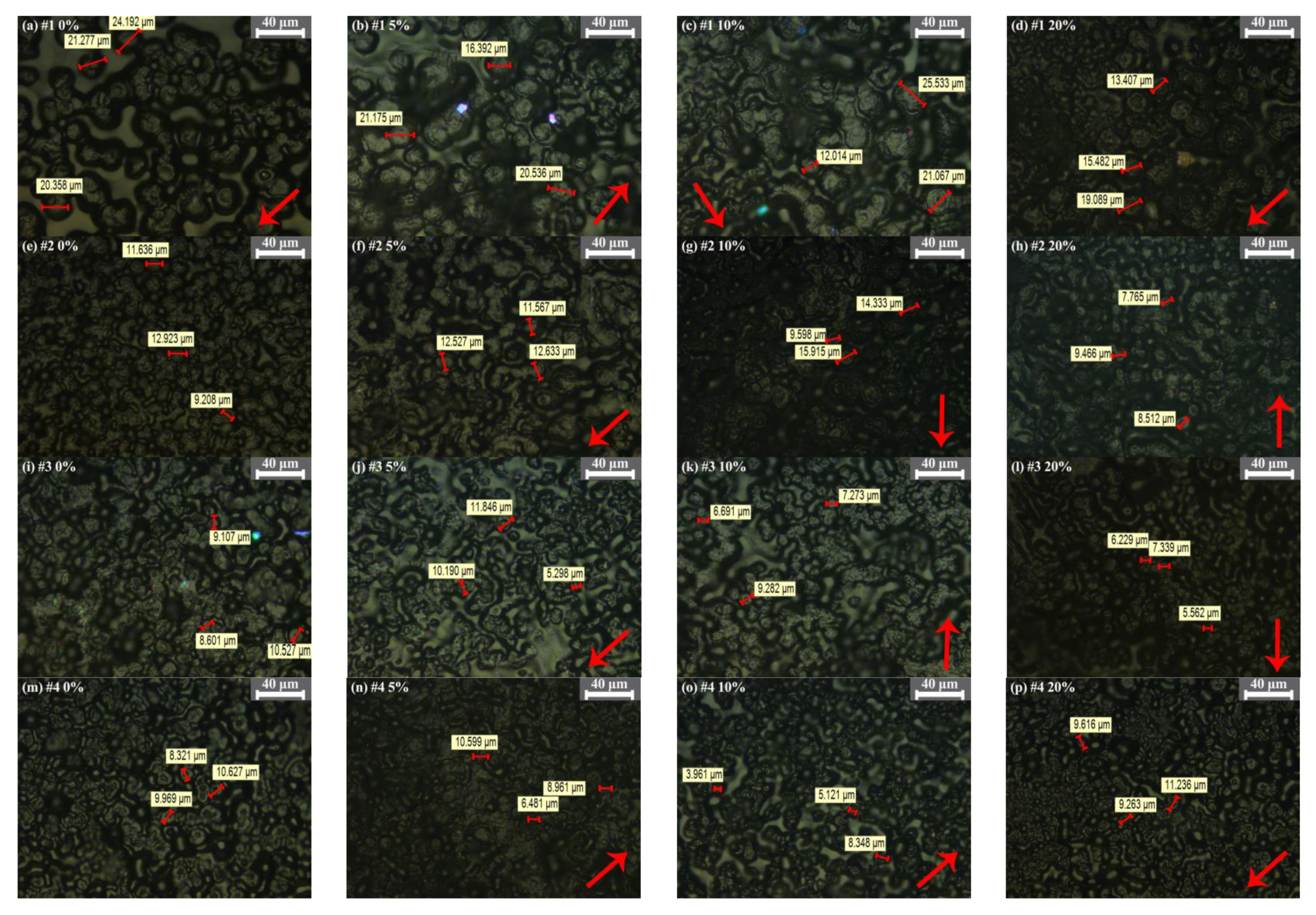 Polymers 13 04354 g004 550