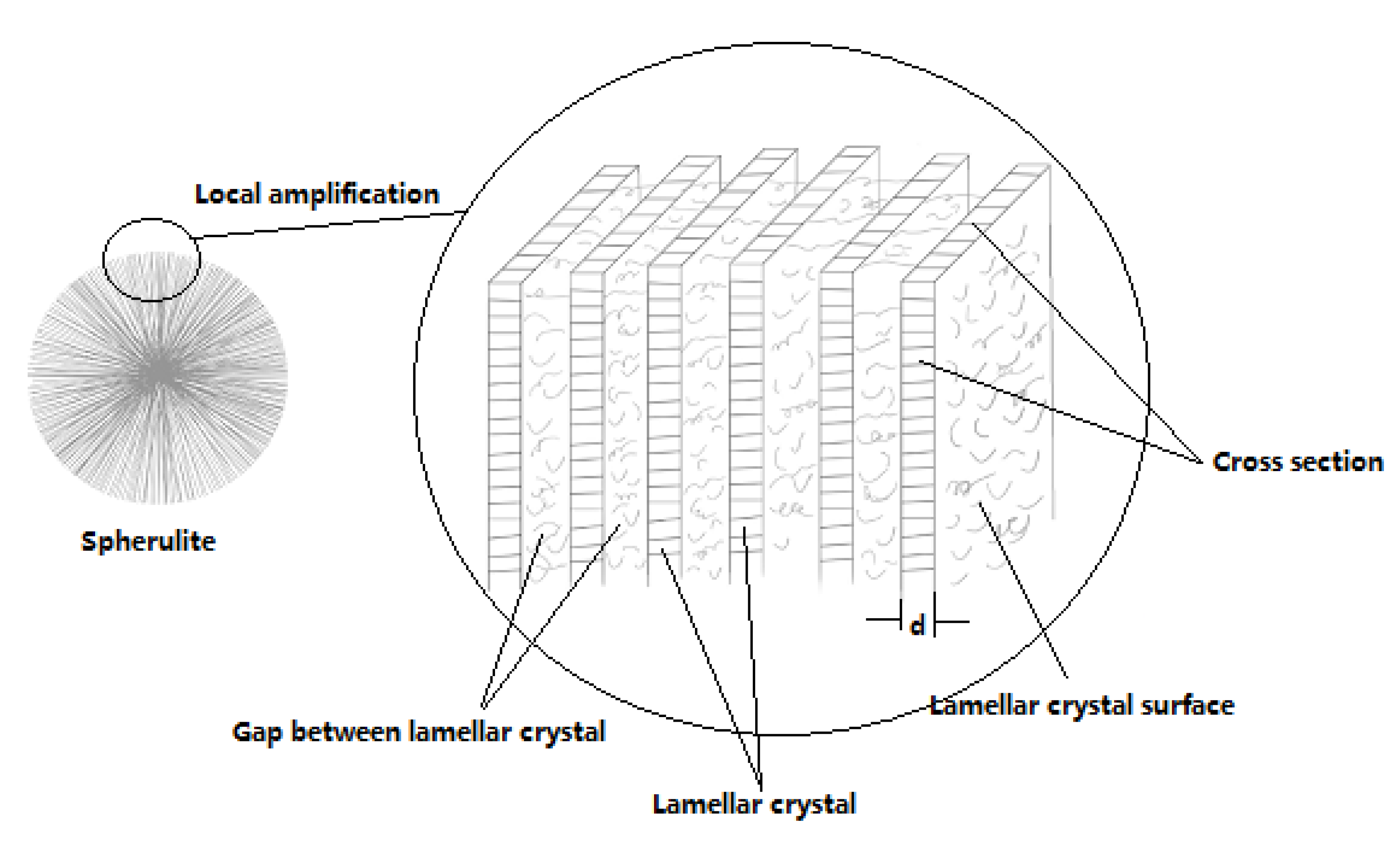 Polymers 13 04354 g006 550