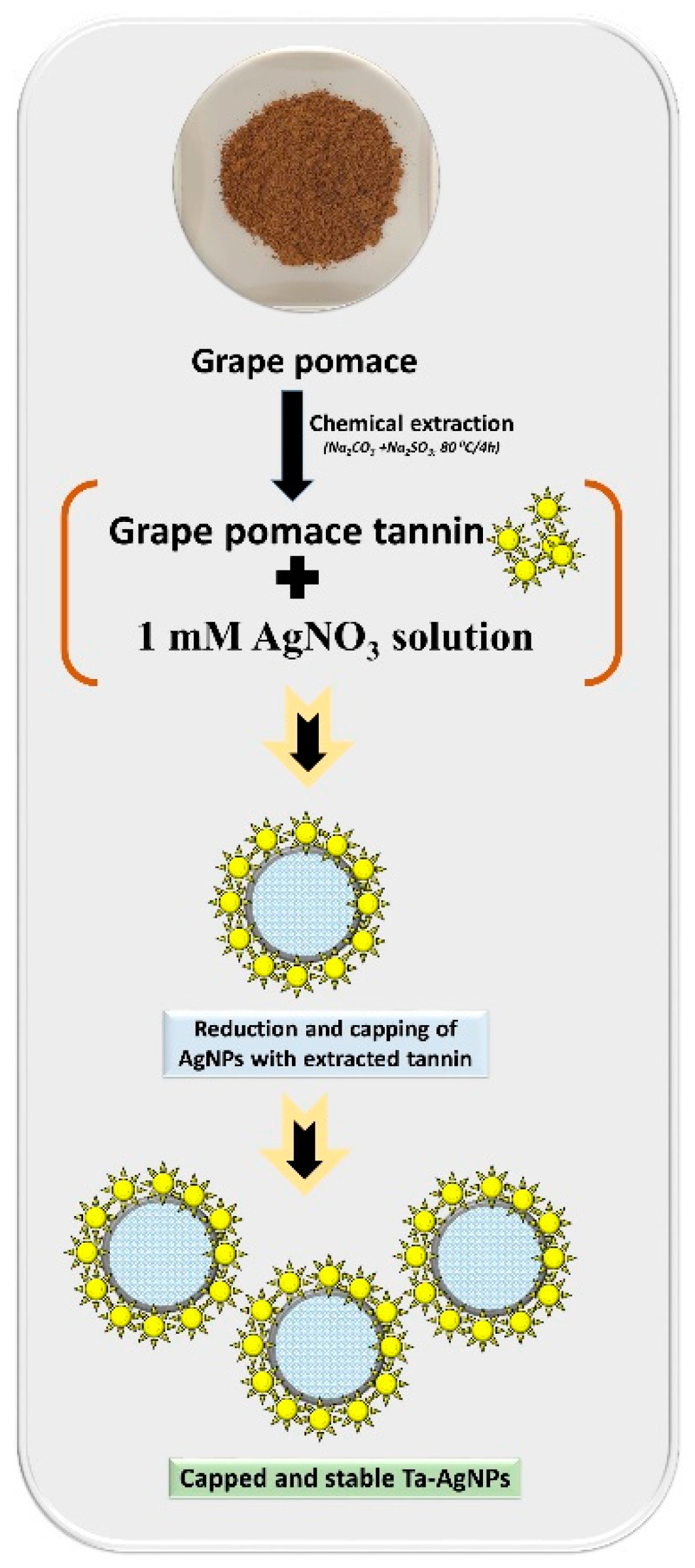 Polymers 13 04355 g003