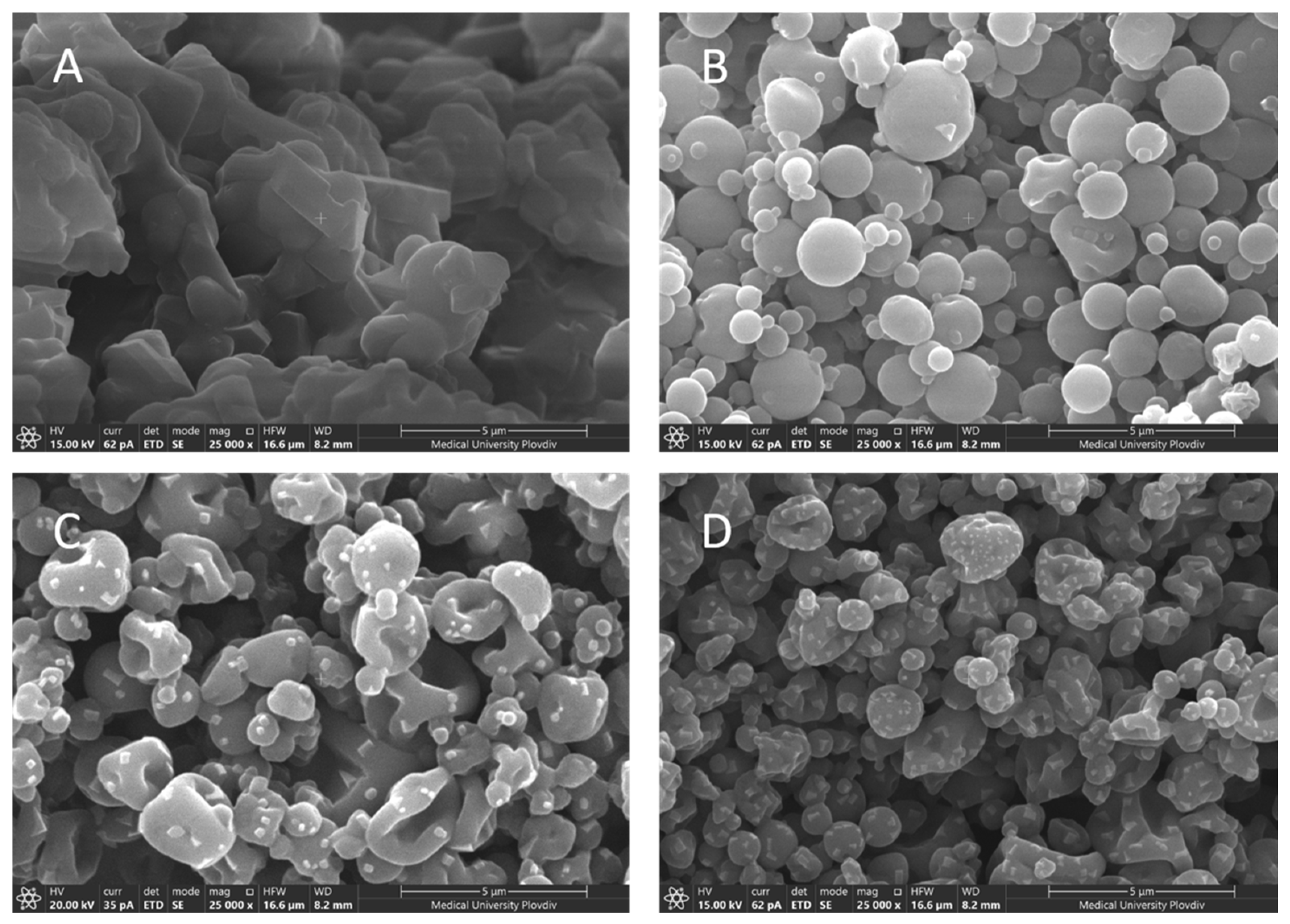 Polymers 13 04357 g004