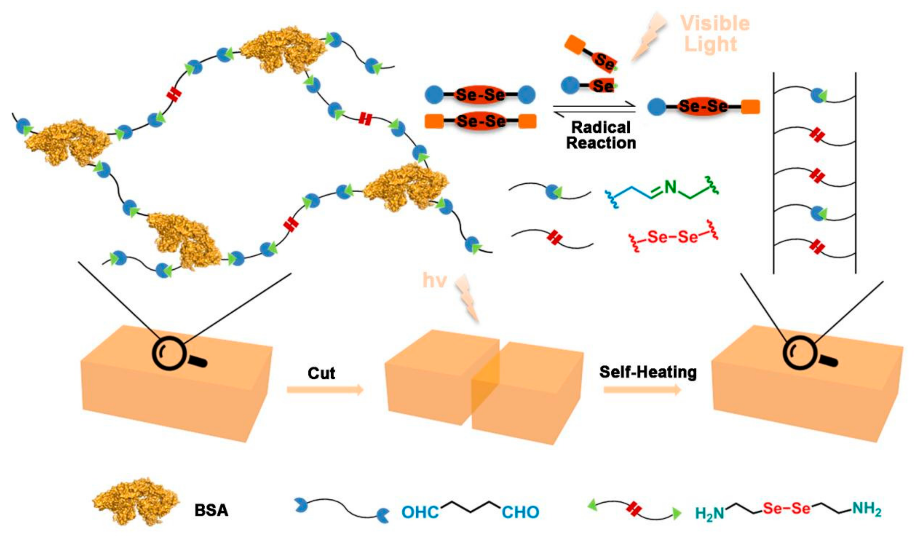 Polymers 13 04360 g001