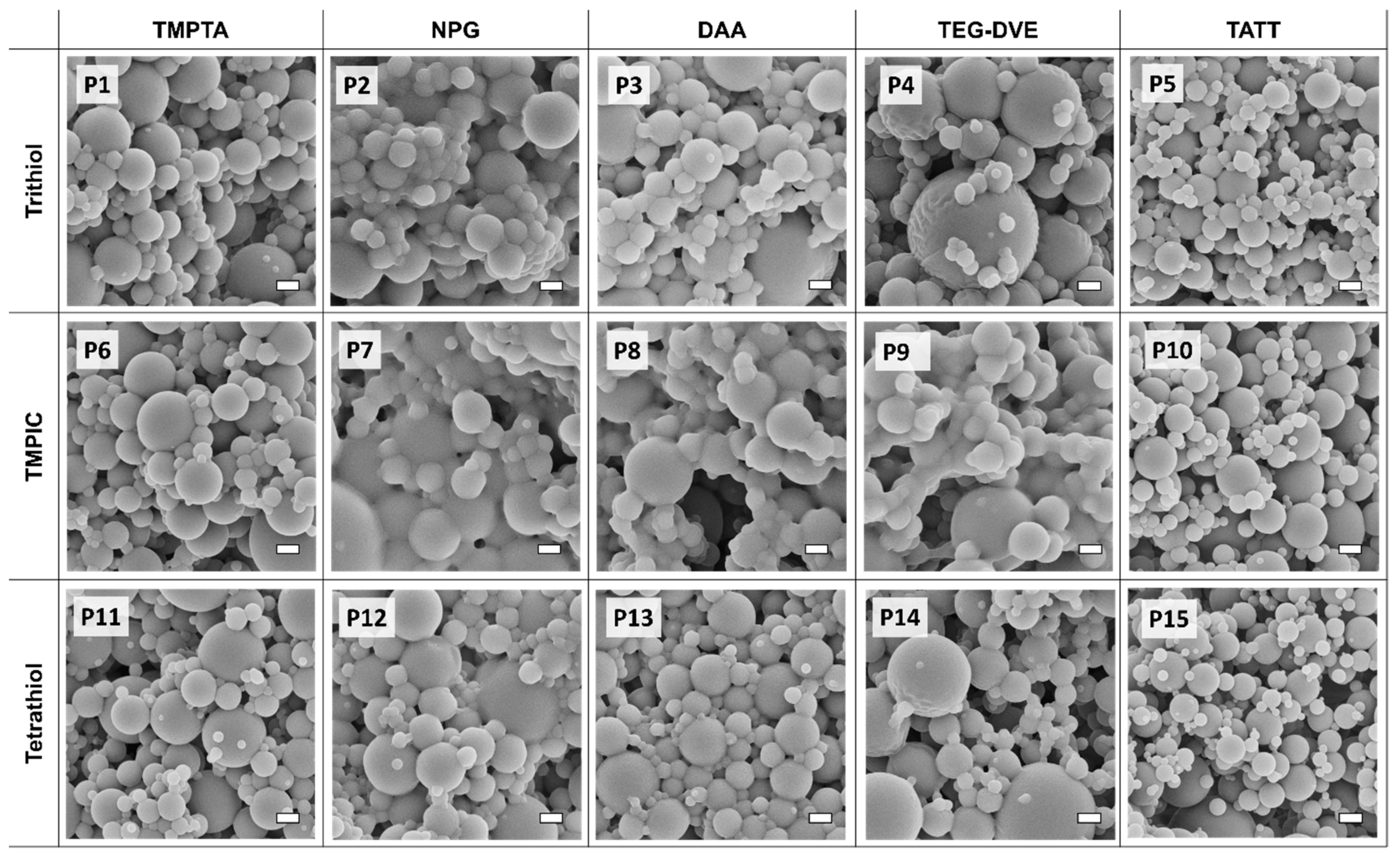 Polymers 13 04363 g003 550