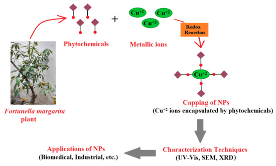 Green Synthesis and Characterization of Copper Nanoparticles Using ...