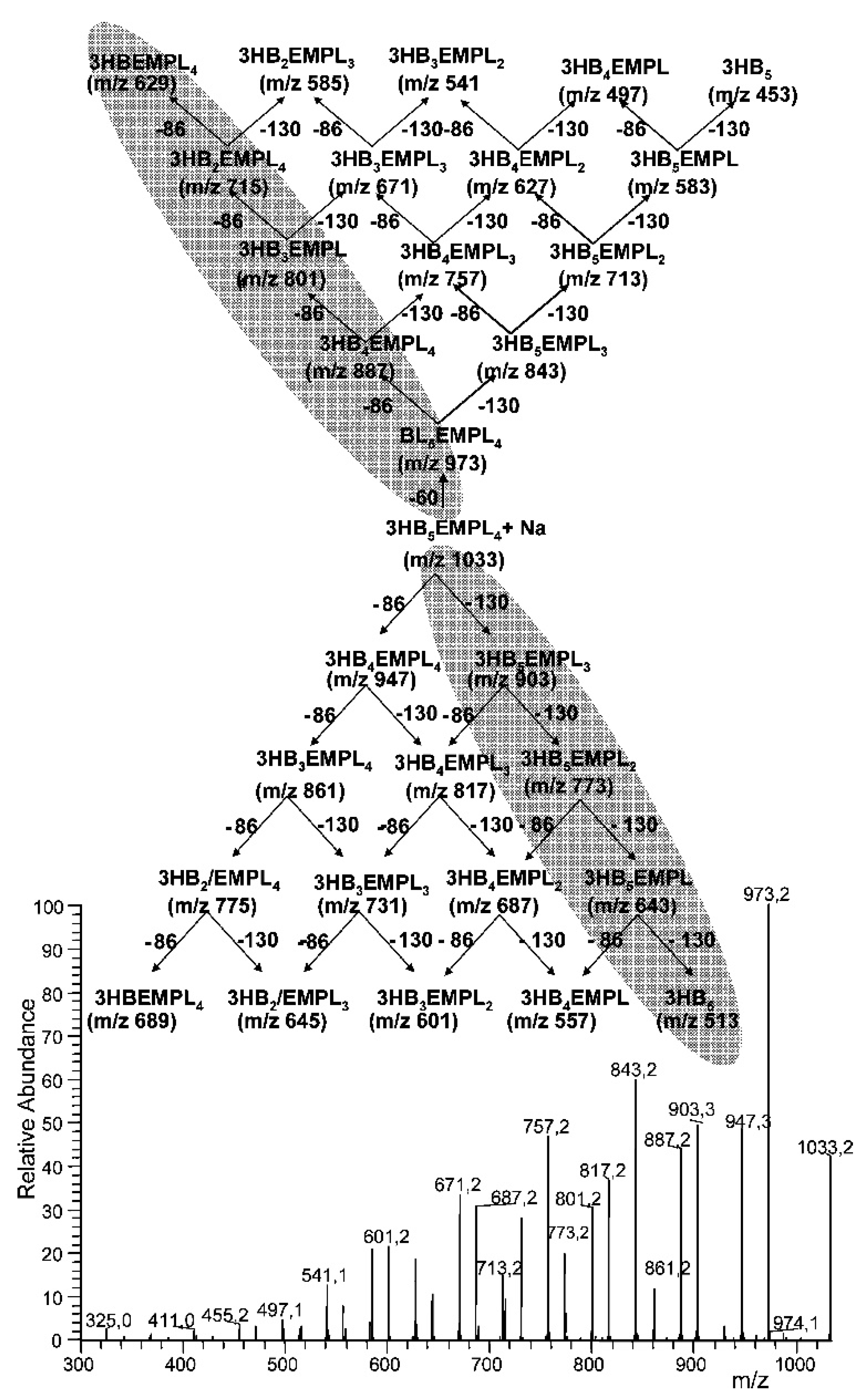 Polymers 13 04365 g002