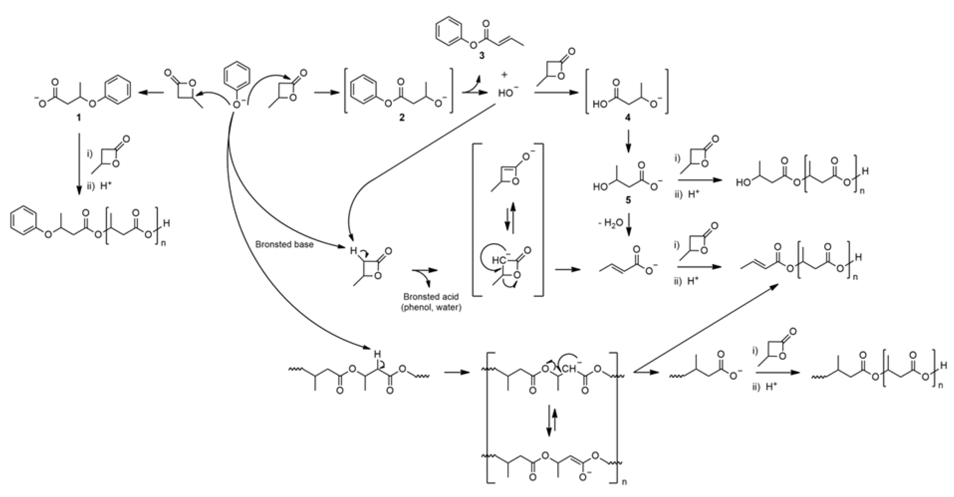 Polymers 13 04365 sch004