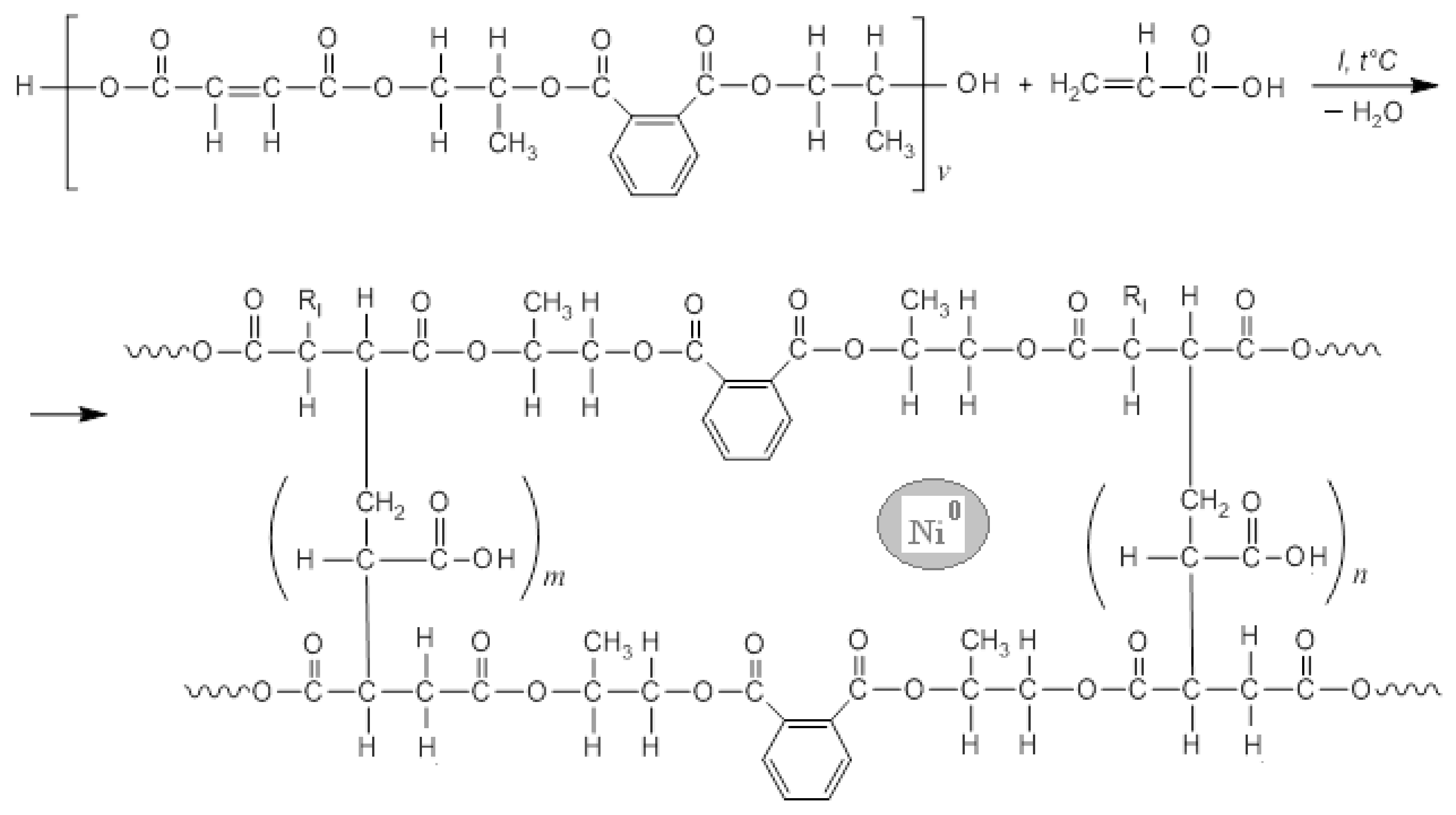 Polymers Free FullText Synthesis and Catalytic Properties of New