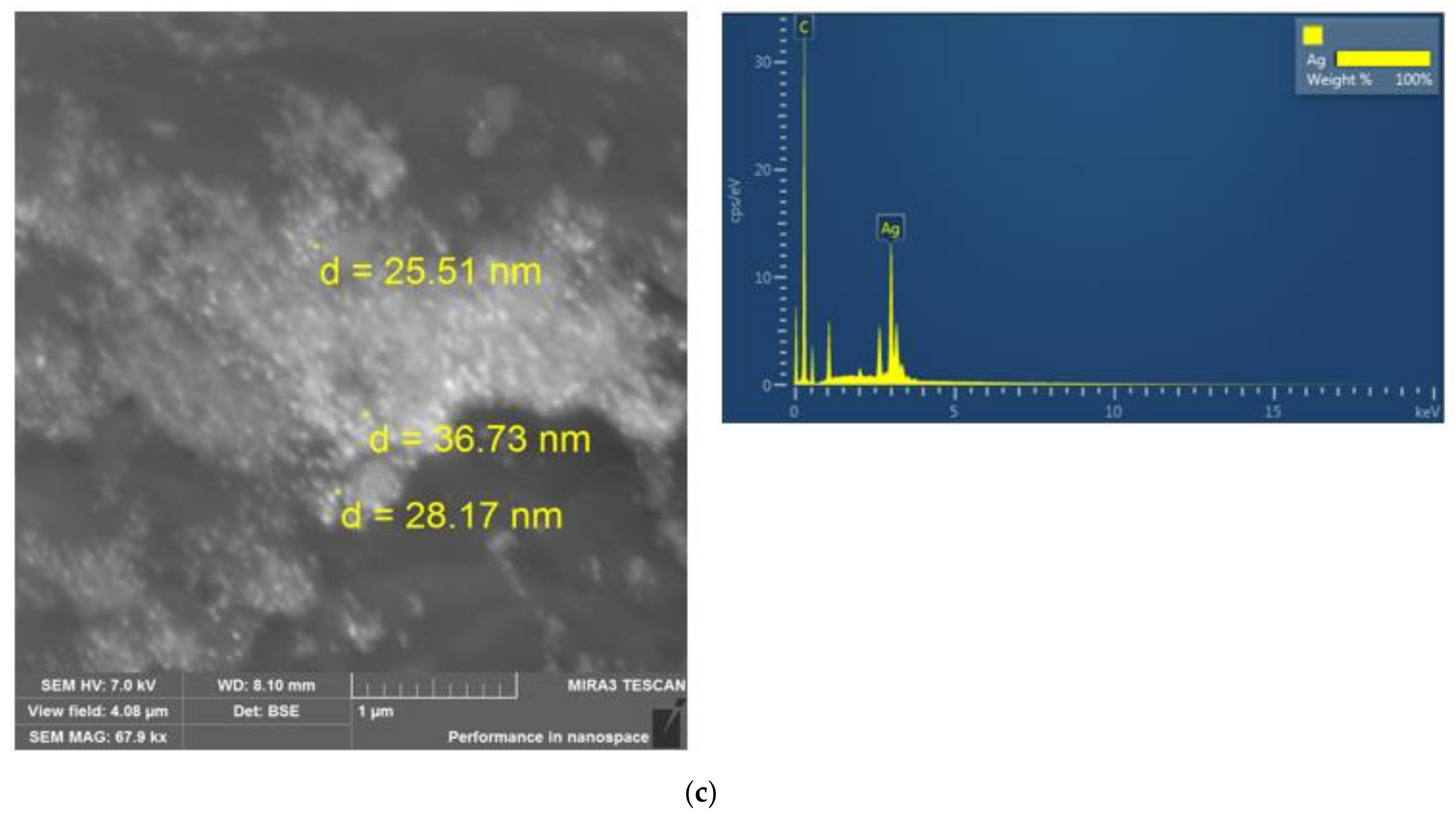 Polymers 13 04369 g004b 550