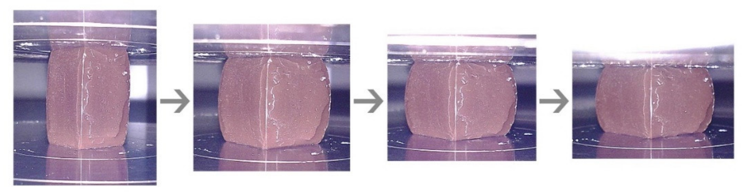 Polymers 13 04373 g012 Polymers 13 04373 g012