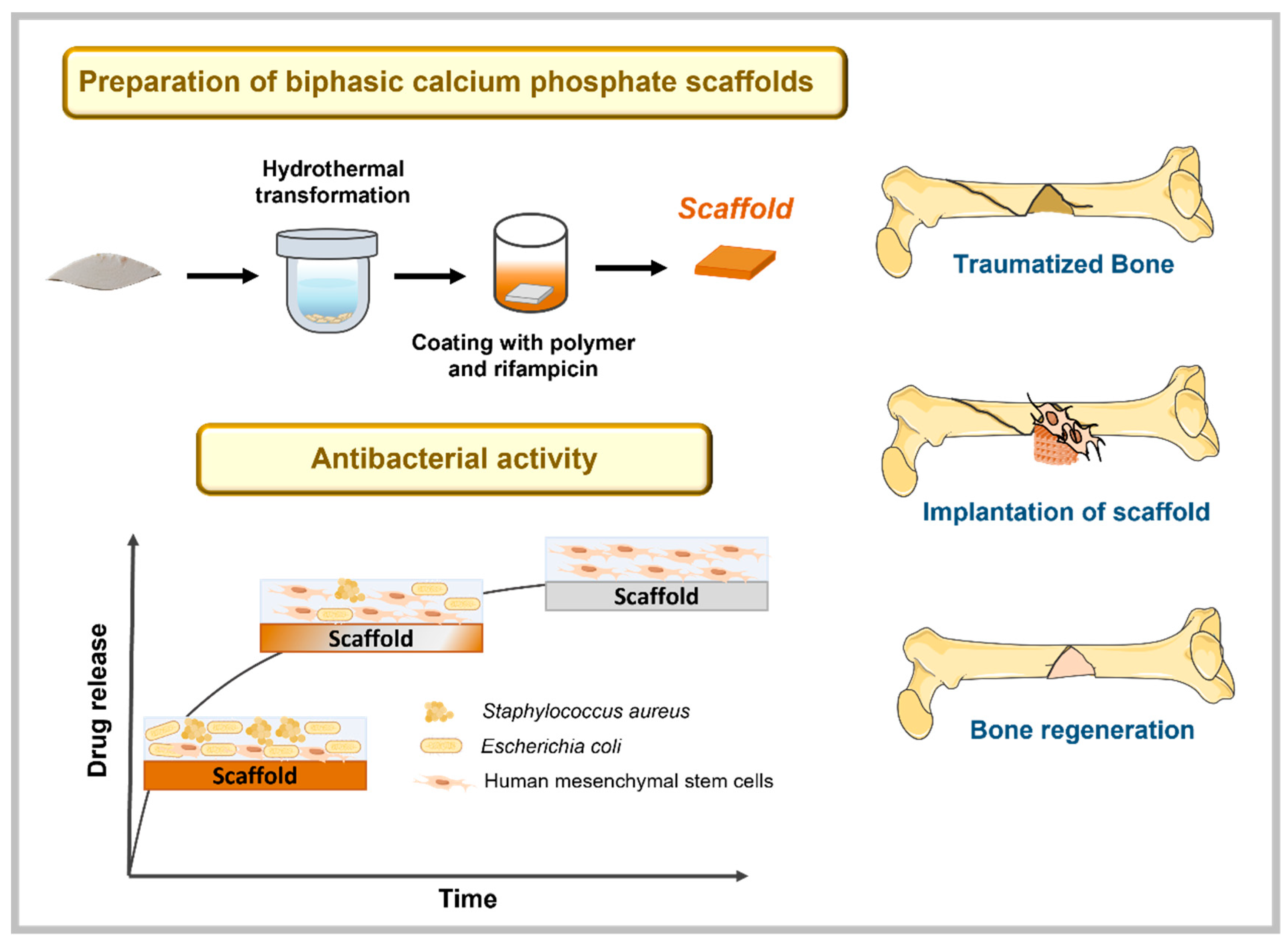 Polymers 13 04378 g001 Polymers 13 04378 g001