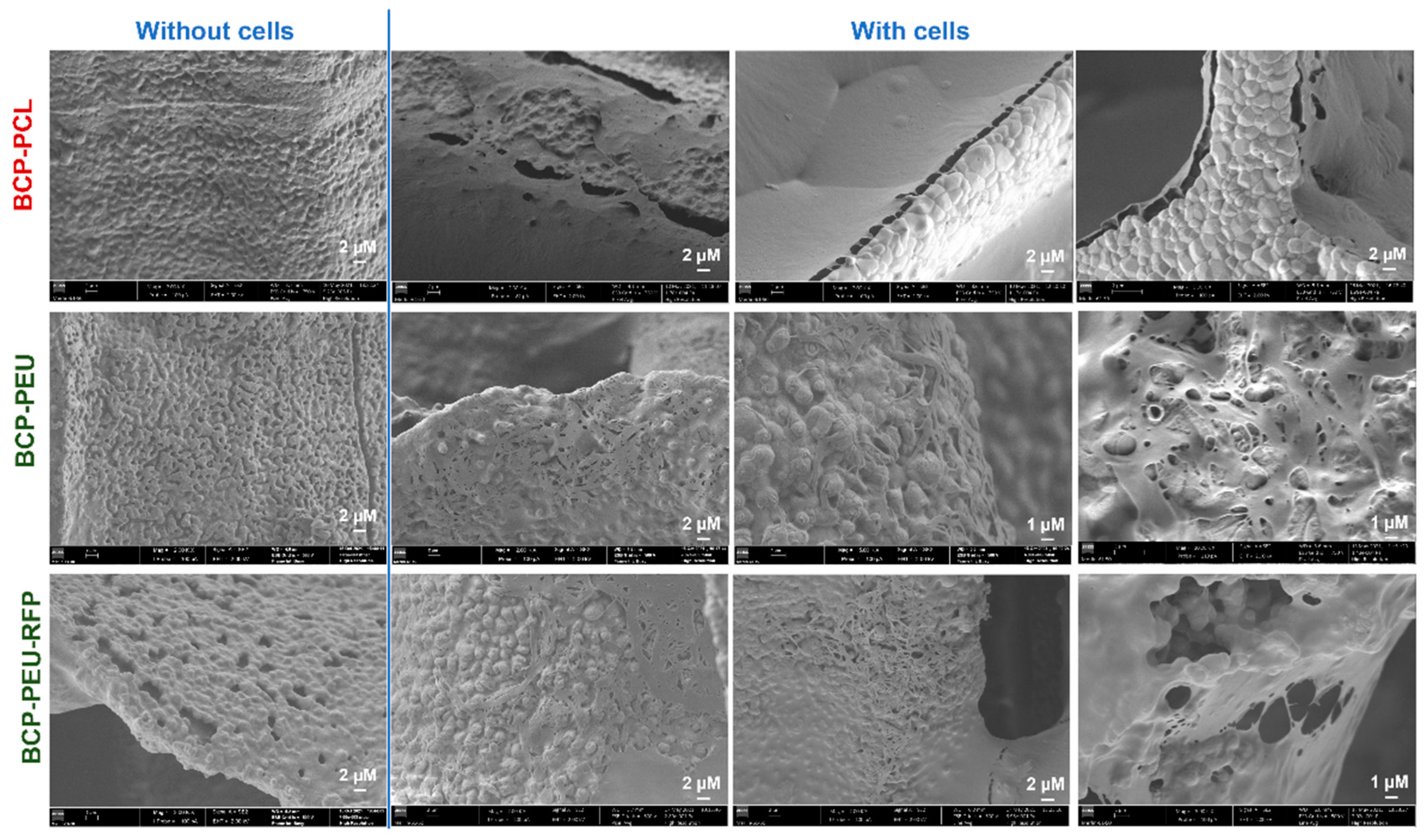 Polymers 13 04378 g008 Polymers 13 04378 g008