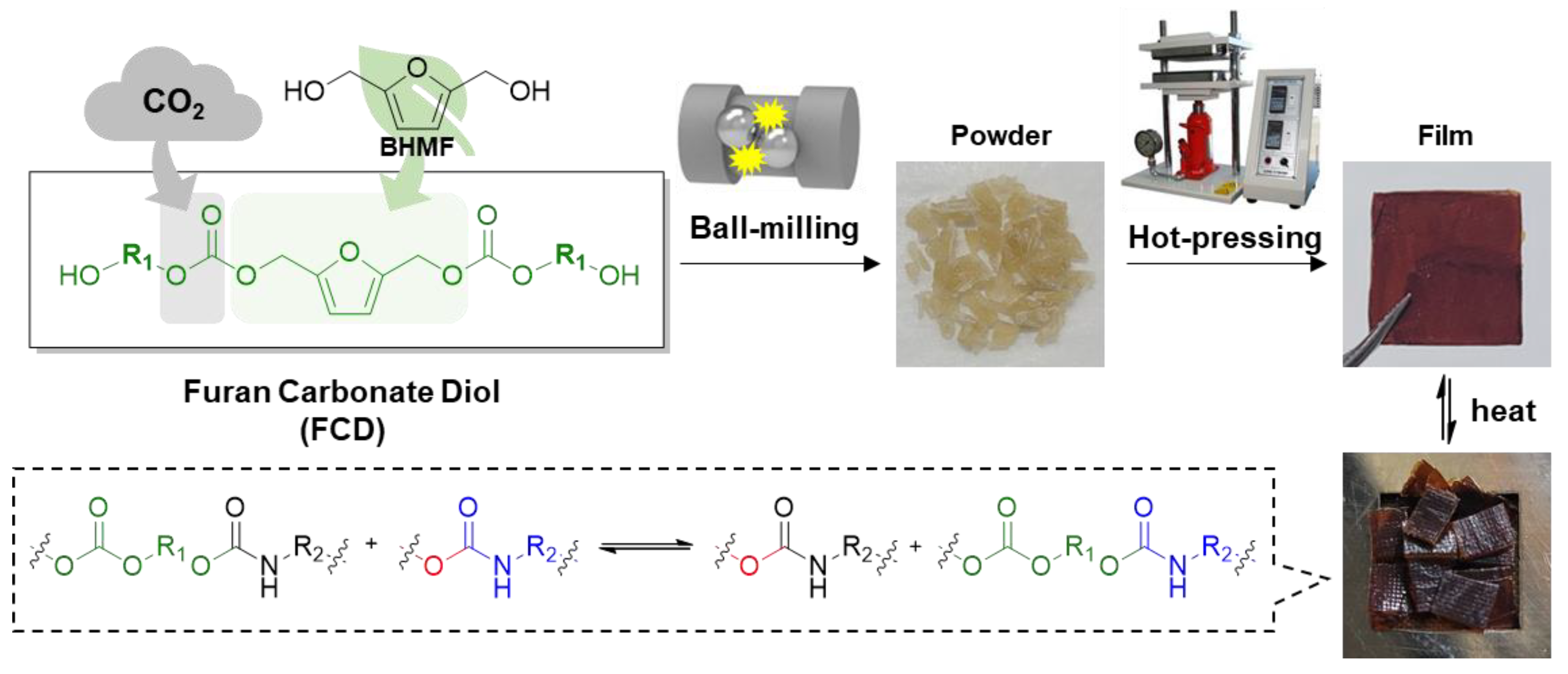 Polymers 13 04381 g001