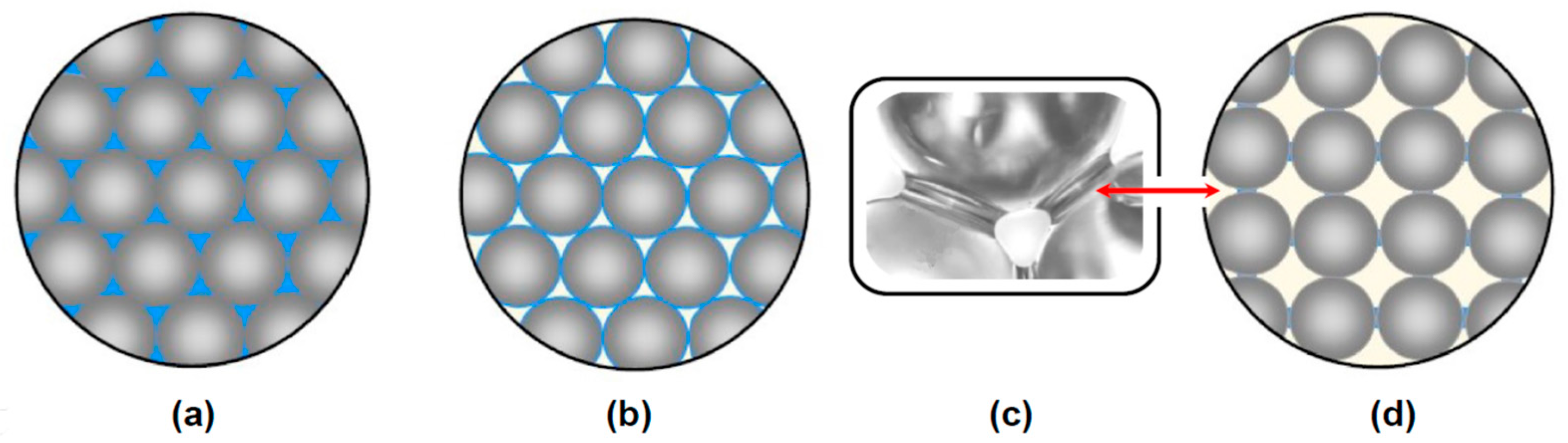 Polymers 13 04386 g001 550