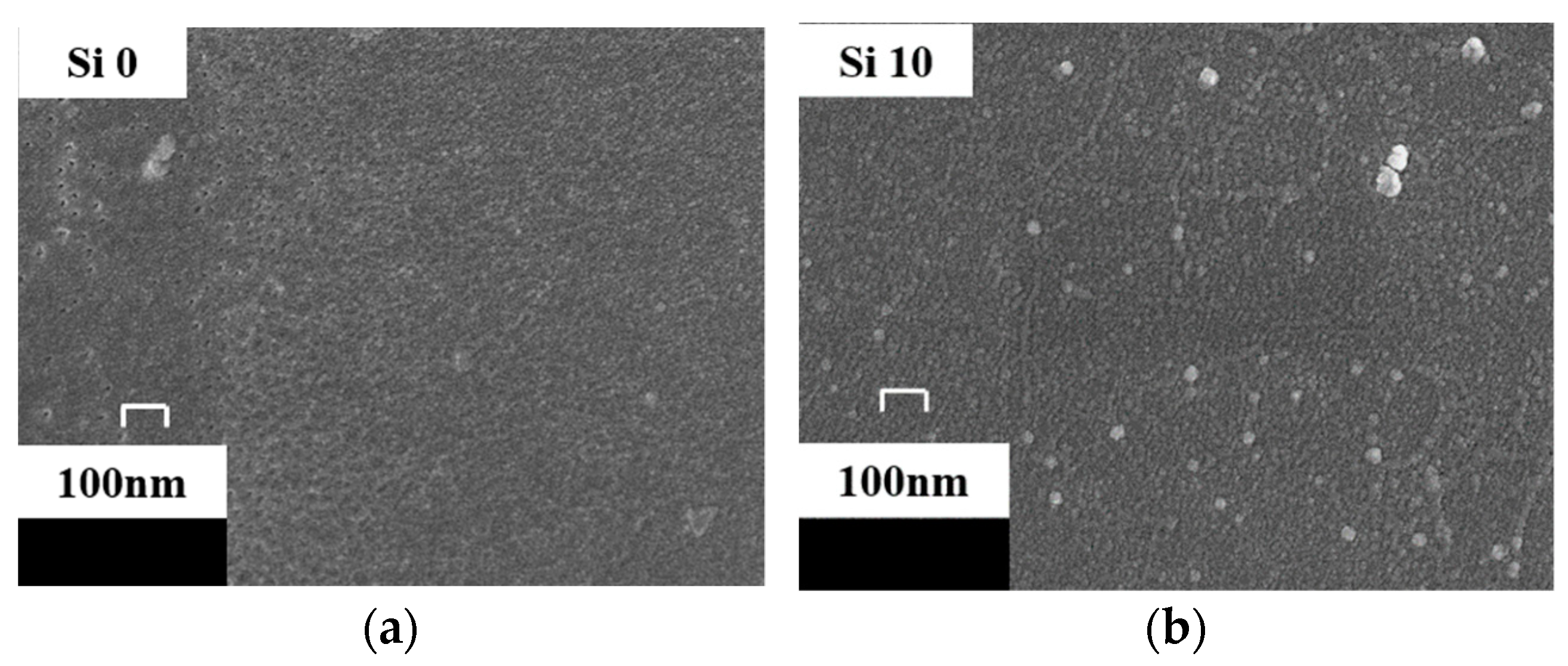 Polymers 13 04387 g003 550