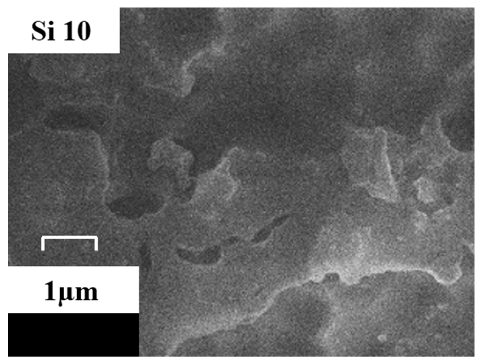 Polymers 13 04387 g004 550