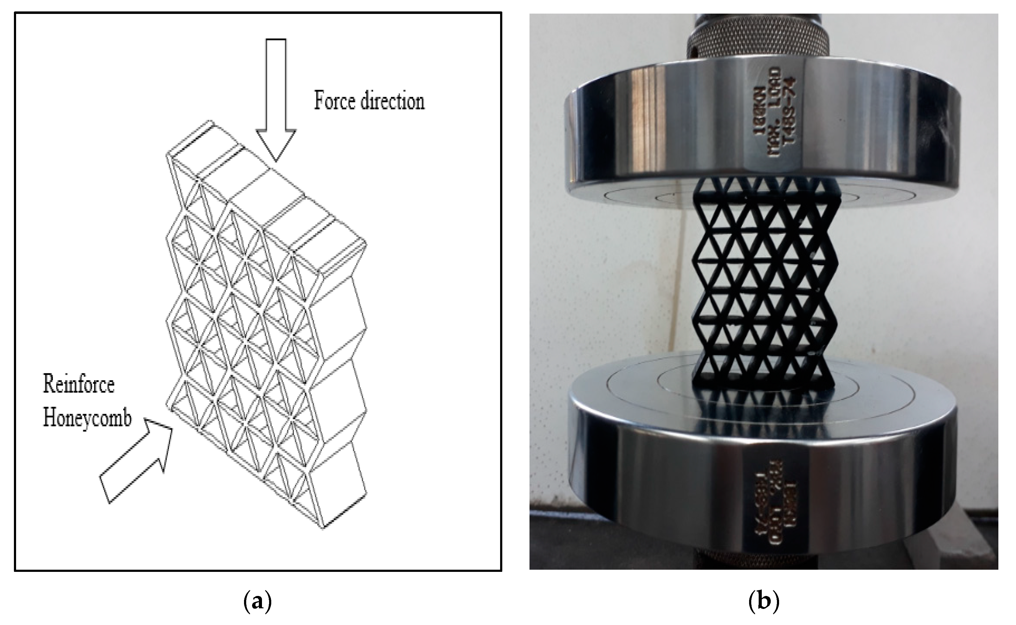 Polymers 13 04388 g005 550
