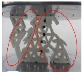 Polymers 13 04388 i010