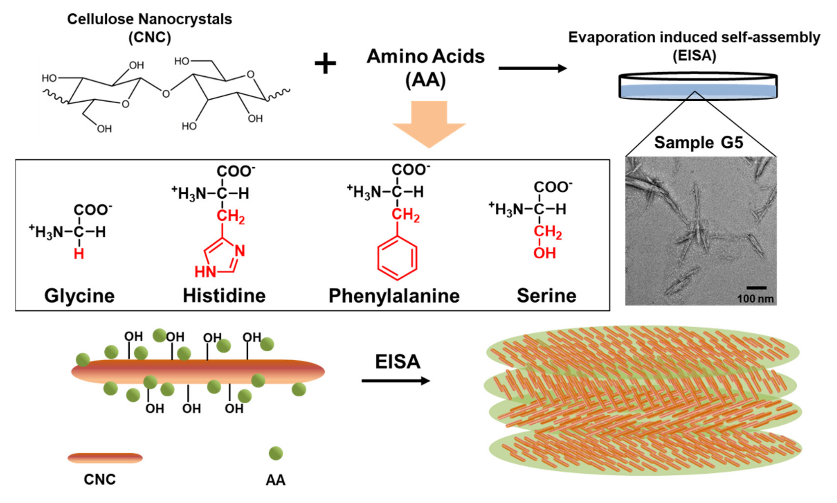 Polymers 13 04389 g001