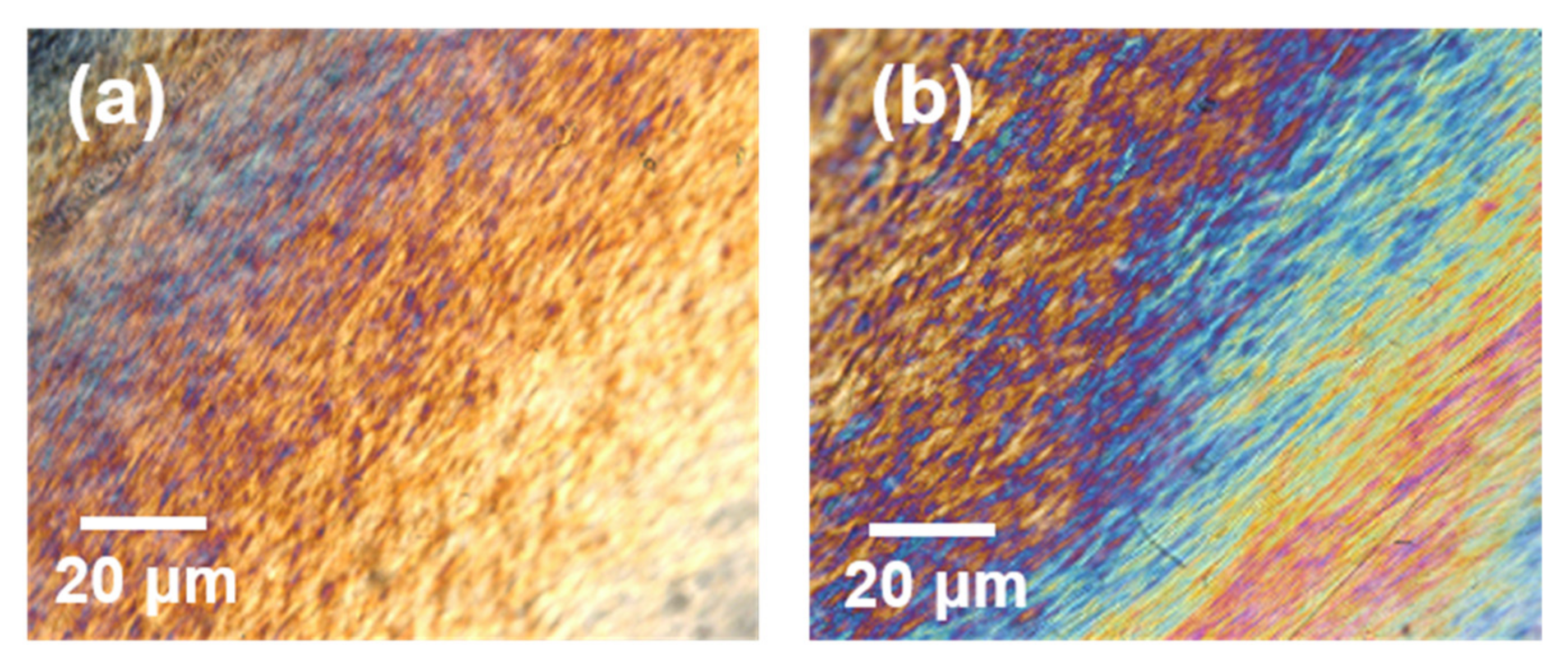 Polymers 13 04389 g003
