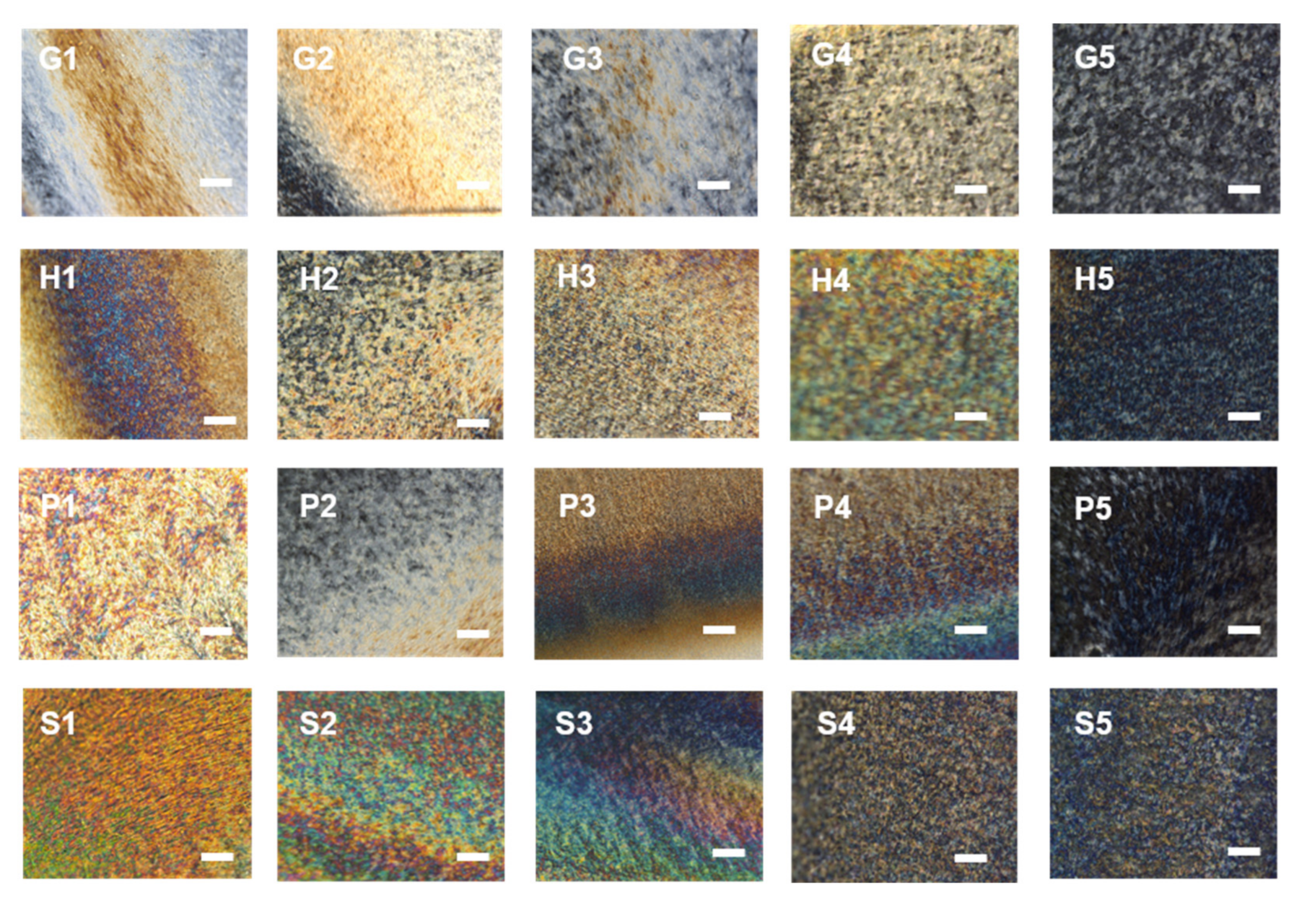 Polymers 13 04389 g004