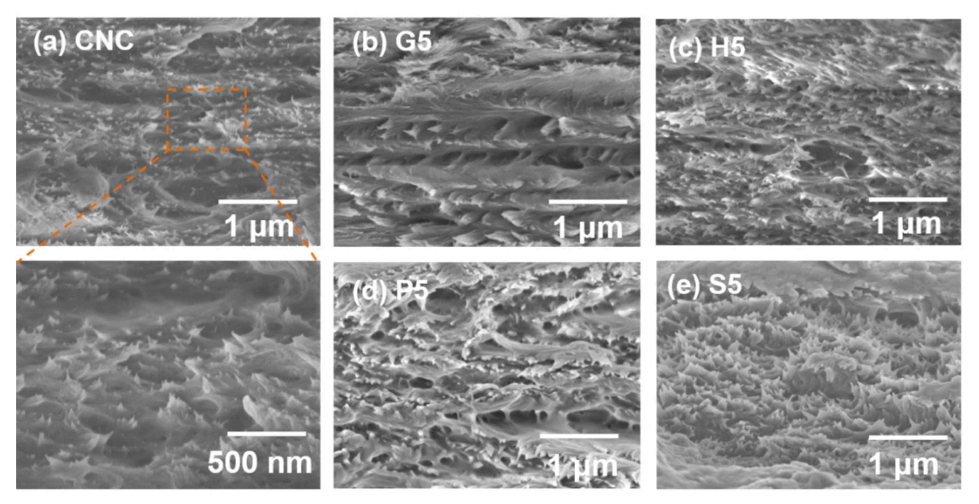 Polymers 13 04389 g005
