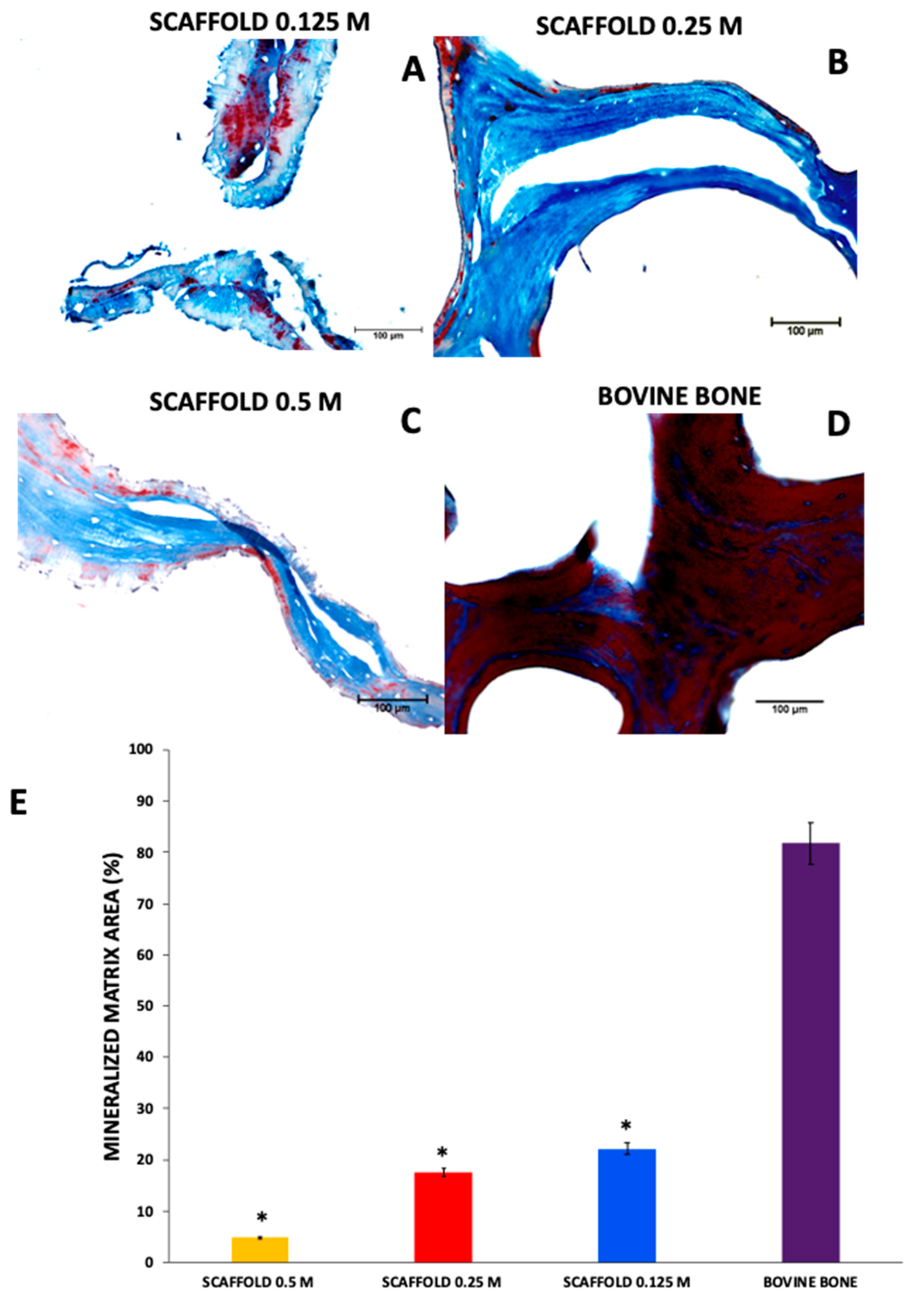 Polymers 13 04390 g002