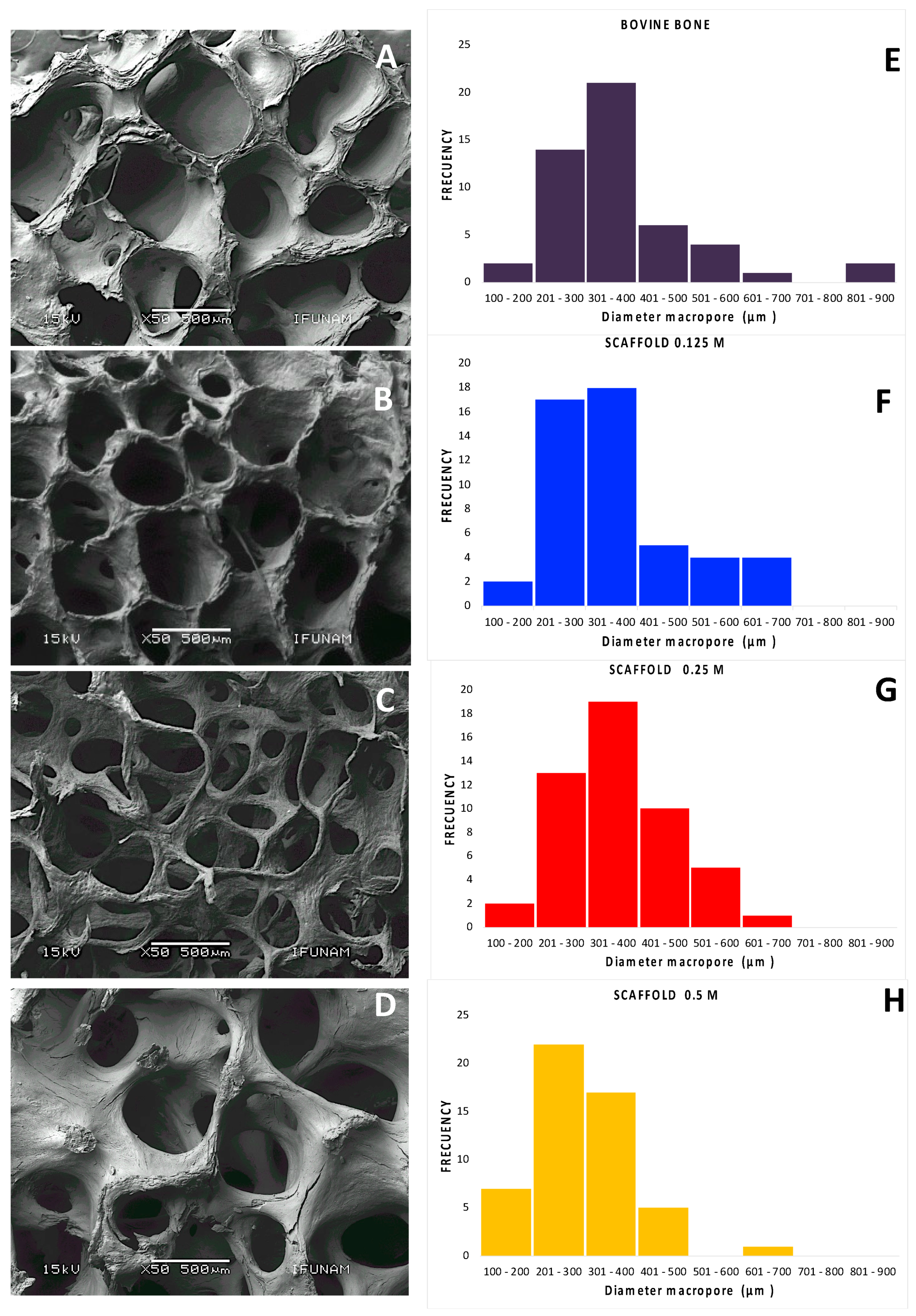 Polymers 13 04390 g003