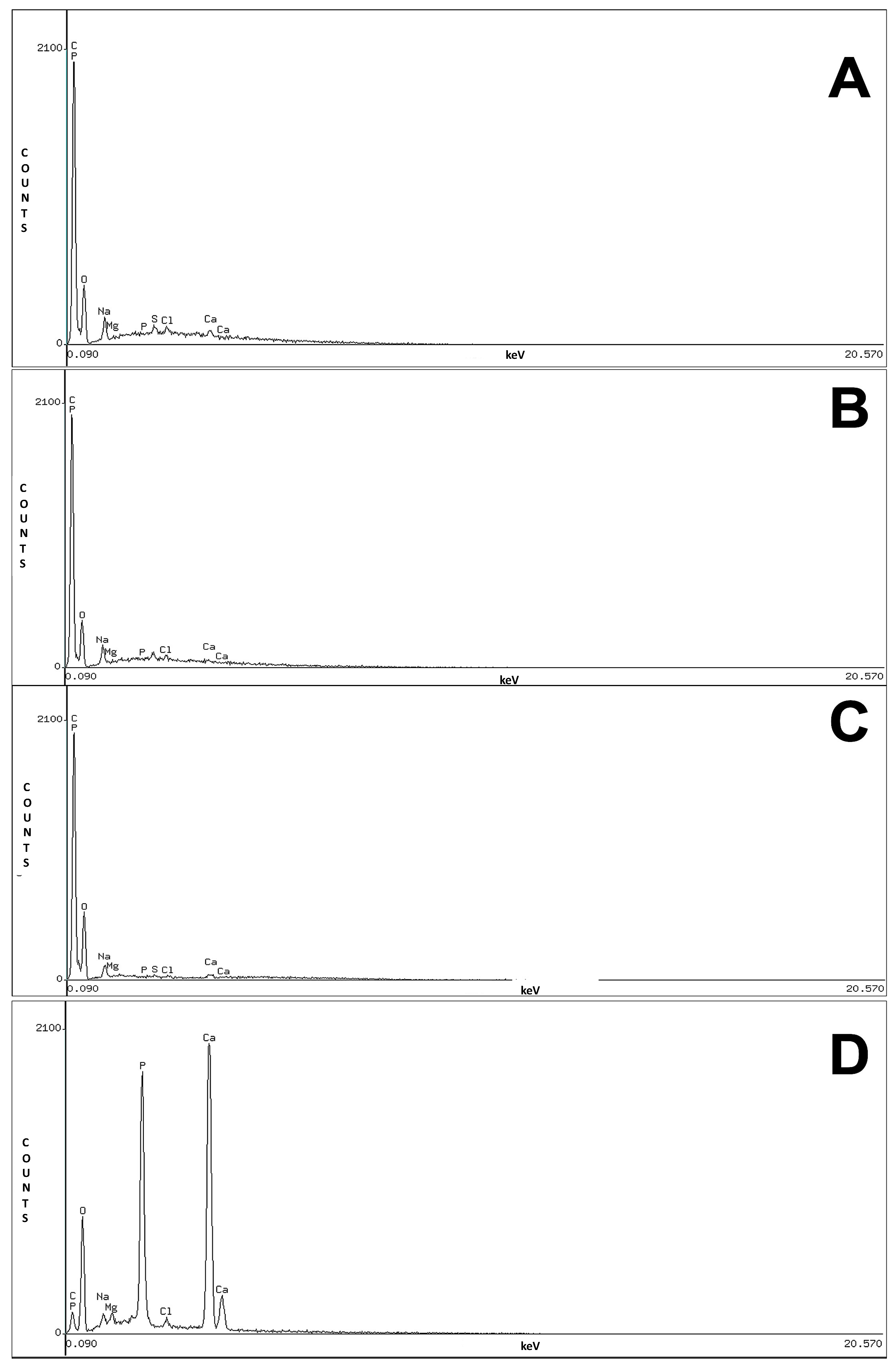 Polymers 13 04390 g004