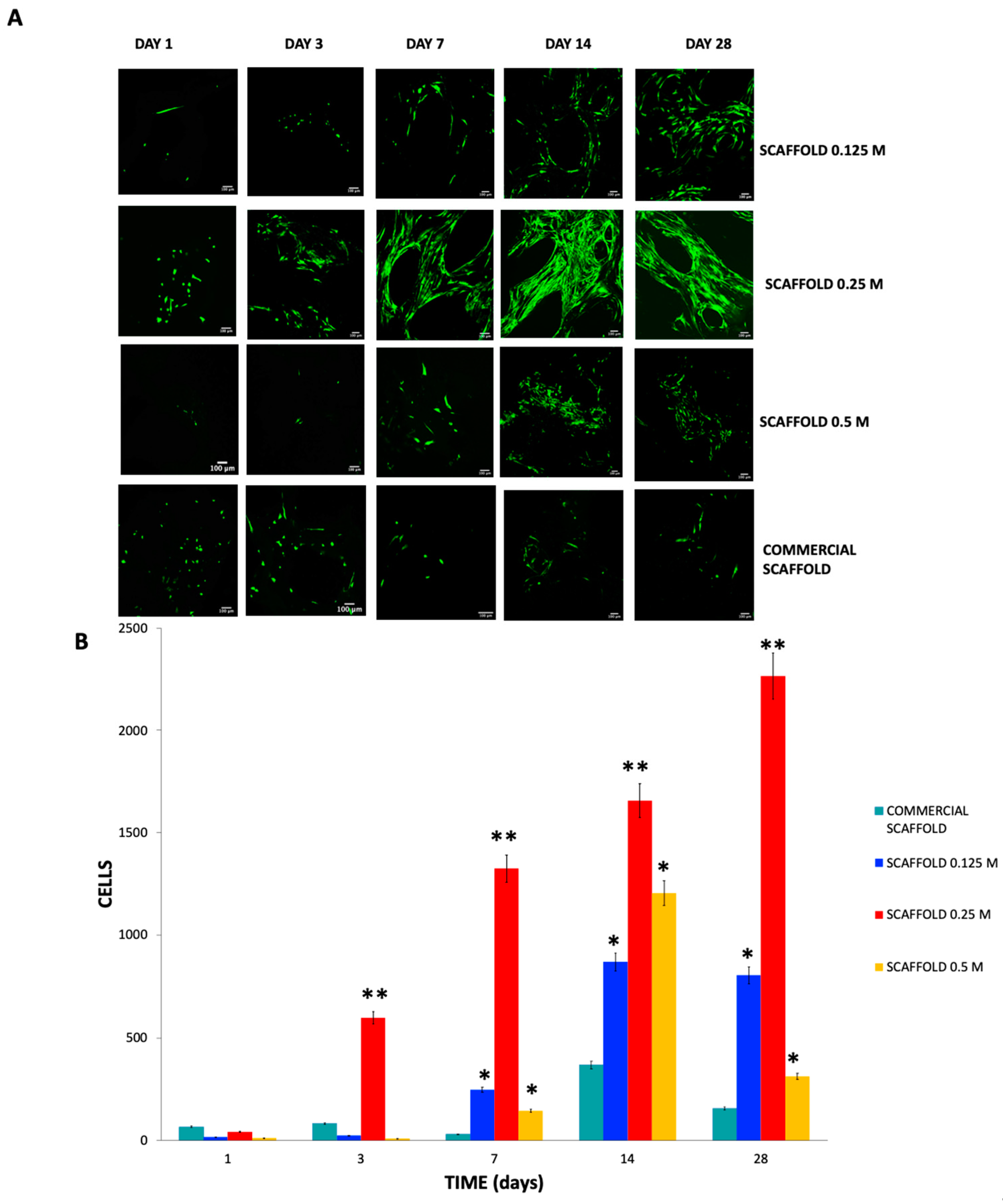 Polymers 13 04390 g011