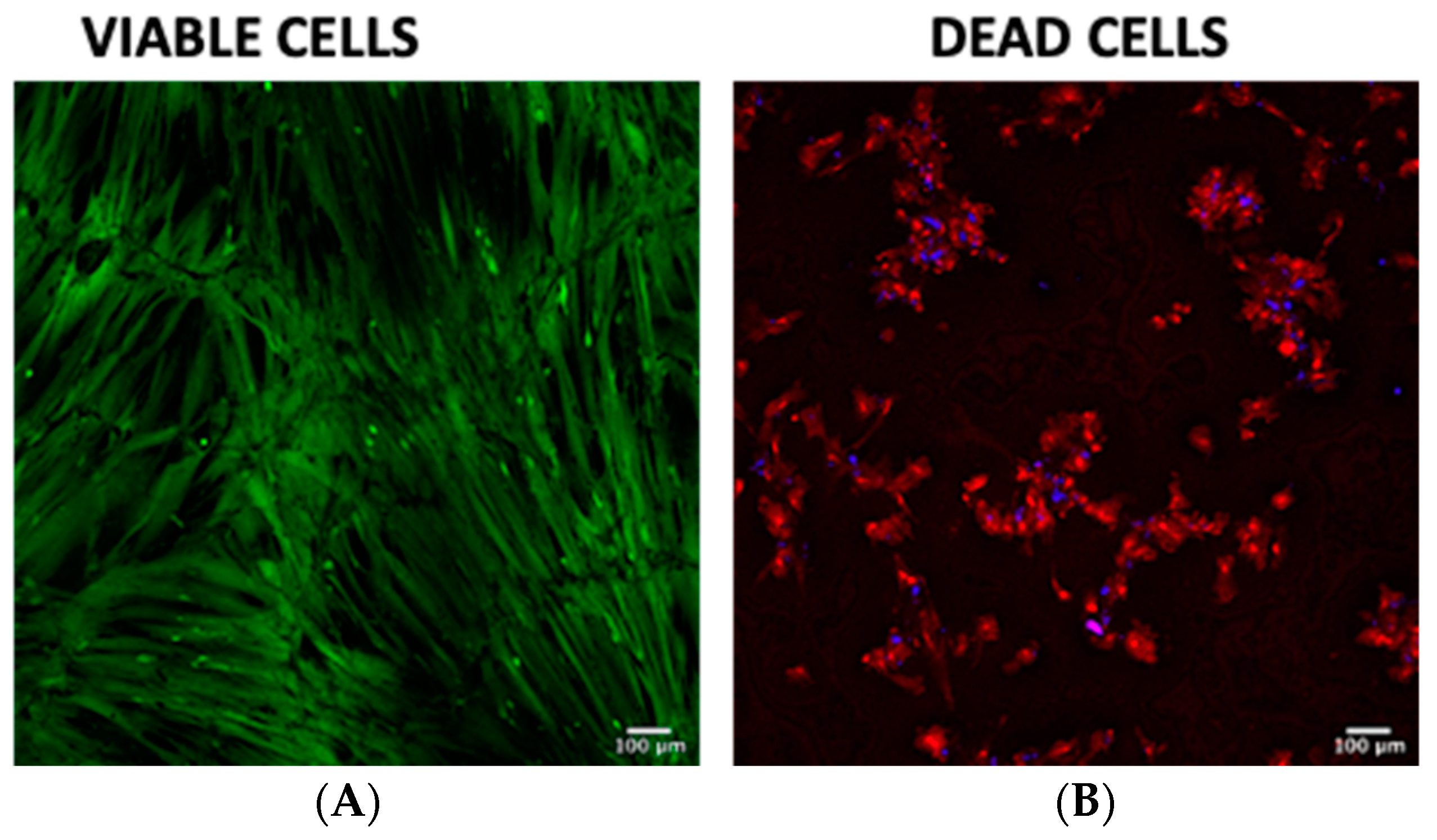 Polymers 13 04390 g012