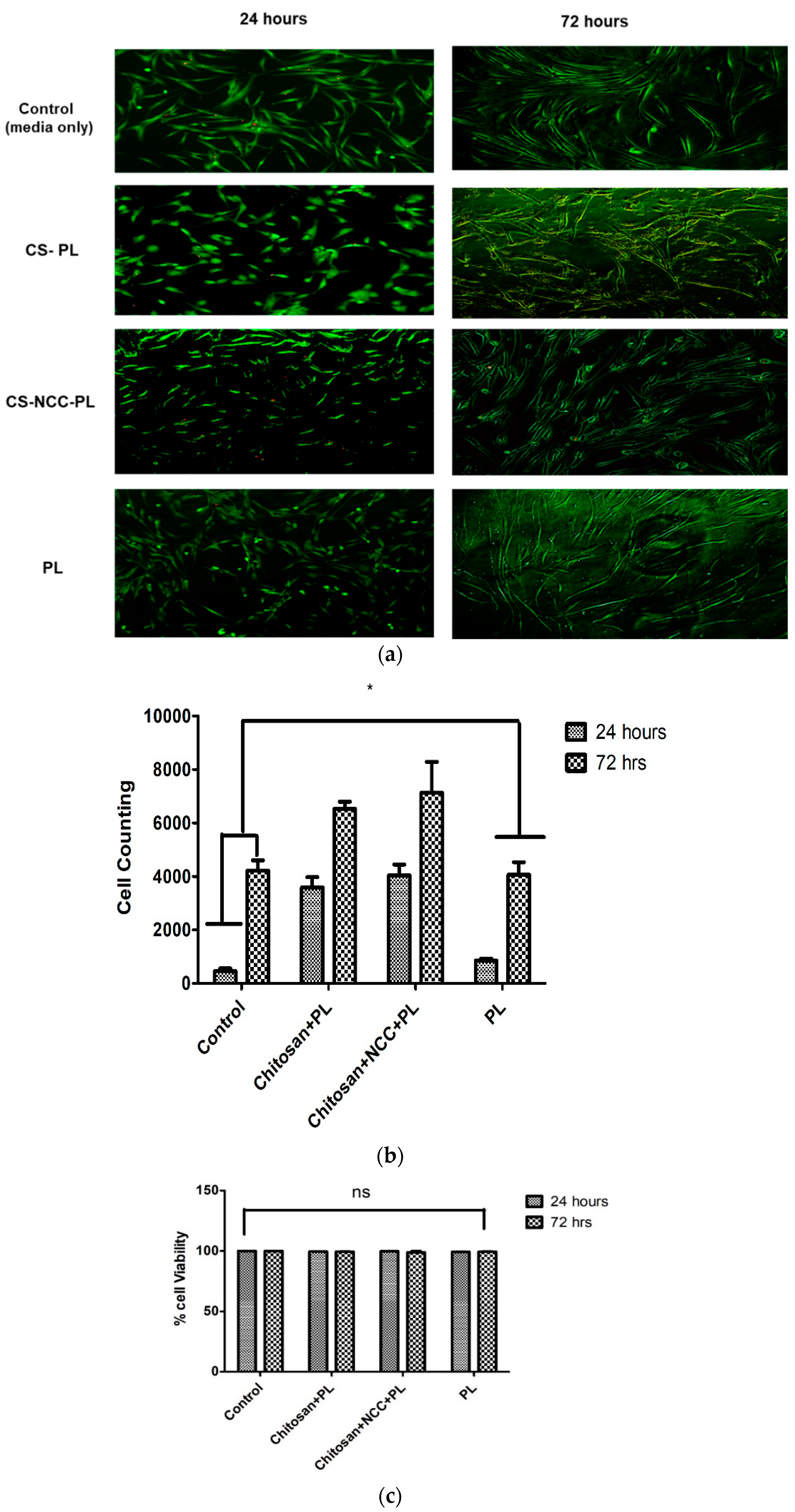 Polymers 13 04392 g012