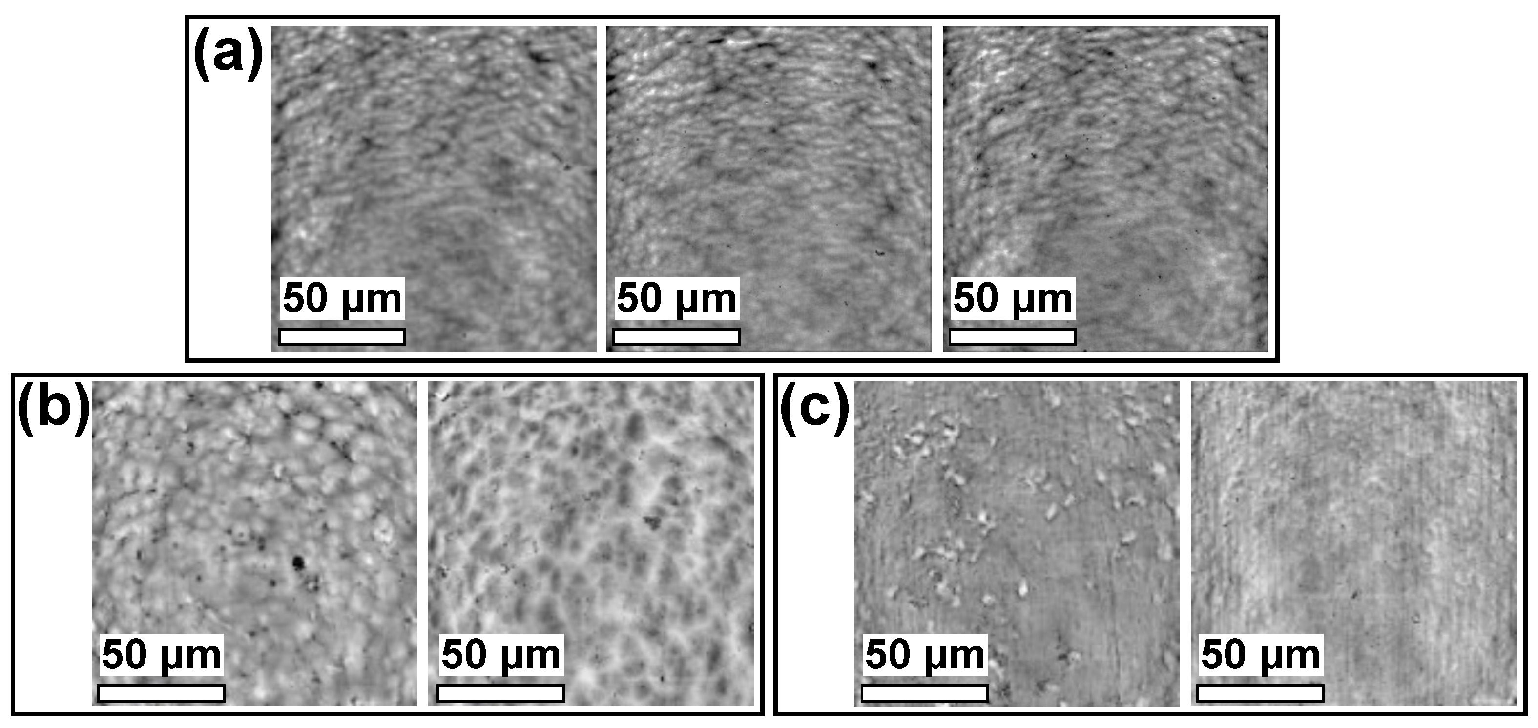 Polymers 13 04396 g006 550