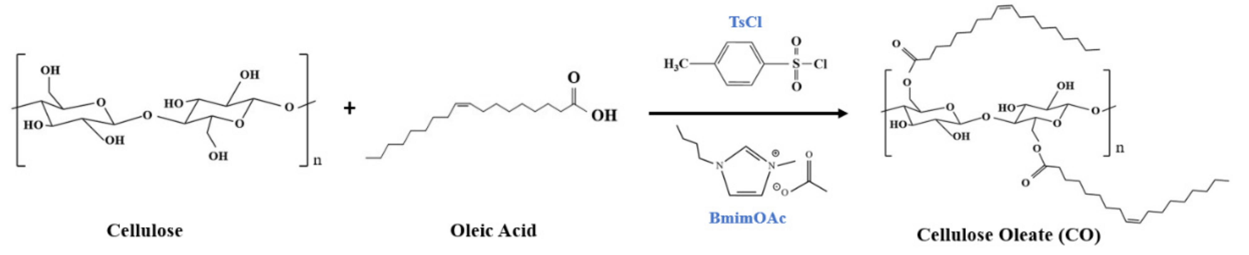 Polymers Free FullText Esterification of Cellulose with Long Fatty
